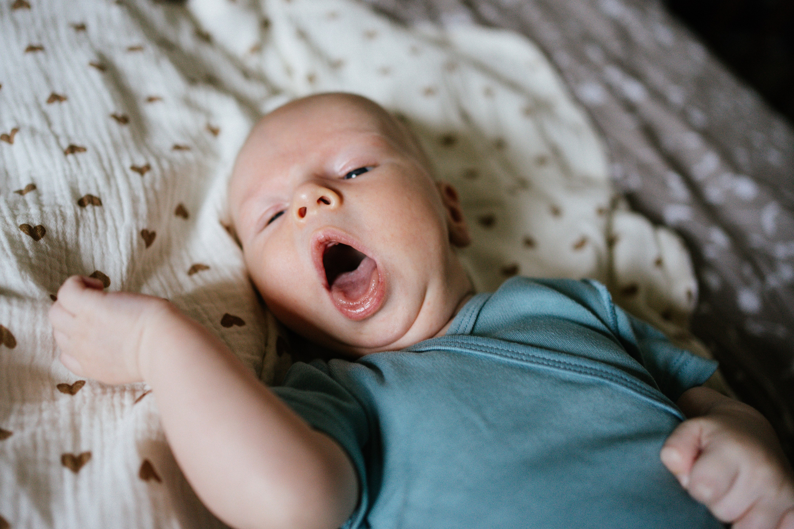 Алиса, Денис и Артём. Семейный и детский фотограф в Новосибирске Эвелина Лангеман