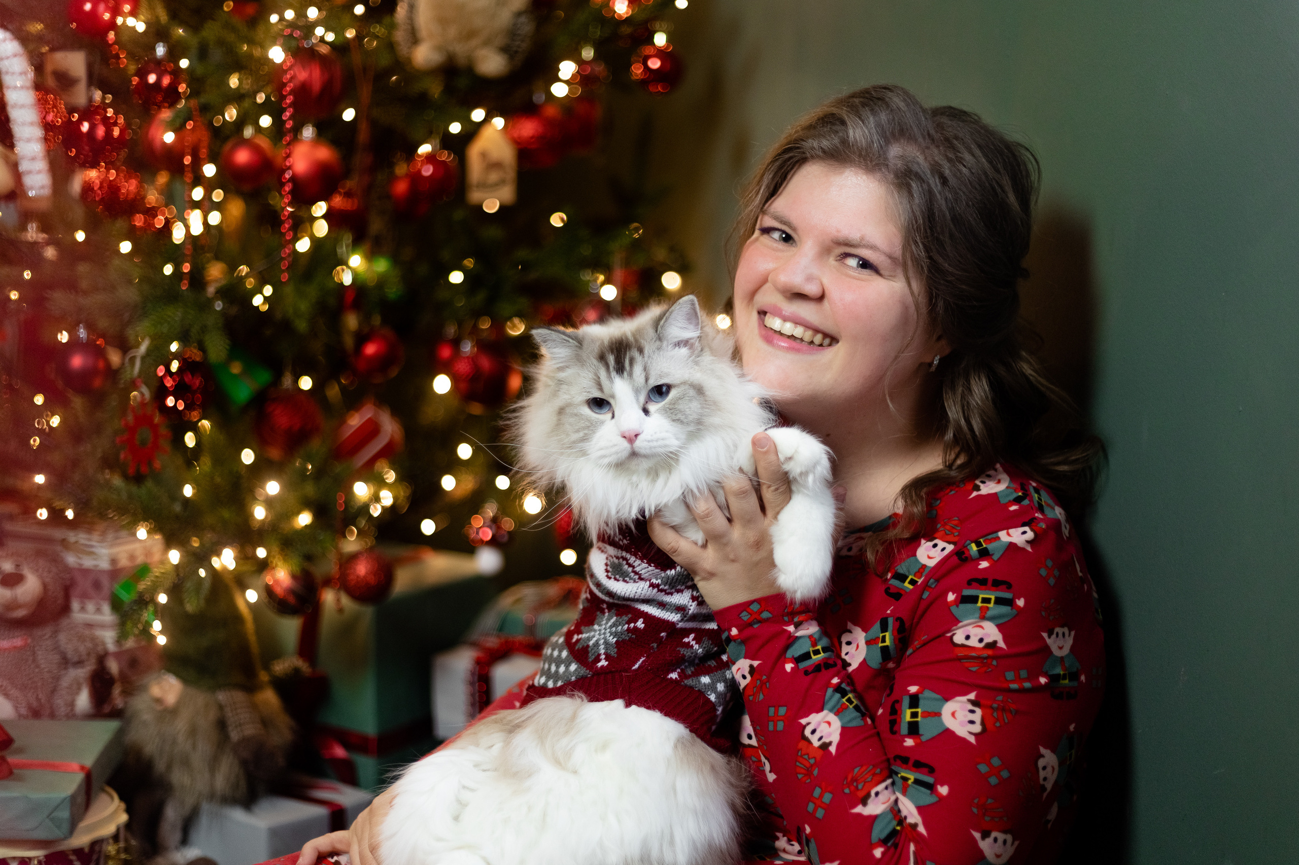 Новогодняя. Фотограф в Томске Юлия Постнова