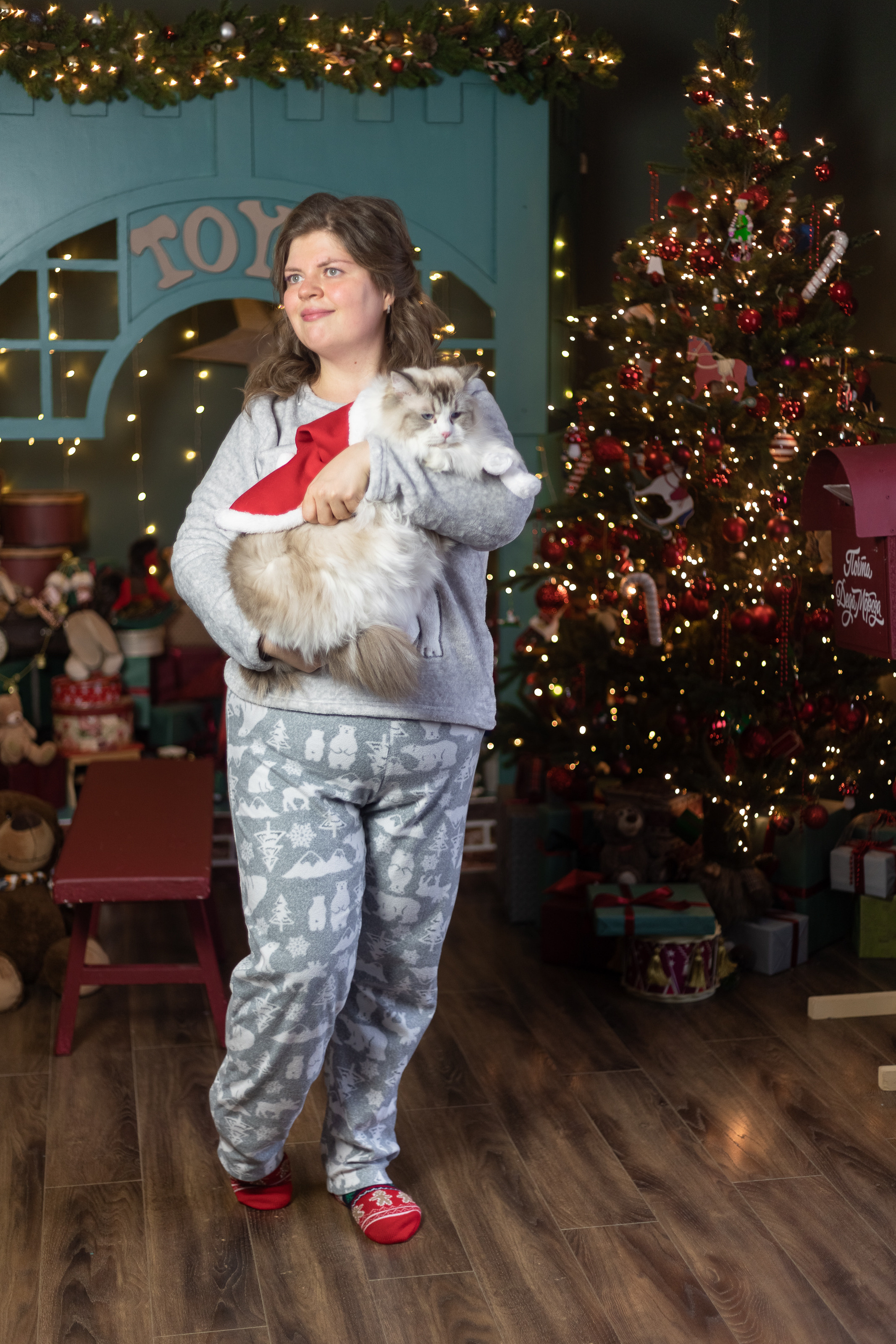 Новогодняя. Фотограф в Томске Юлия Постнова