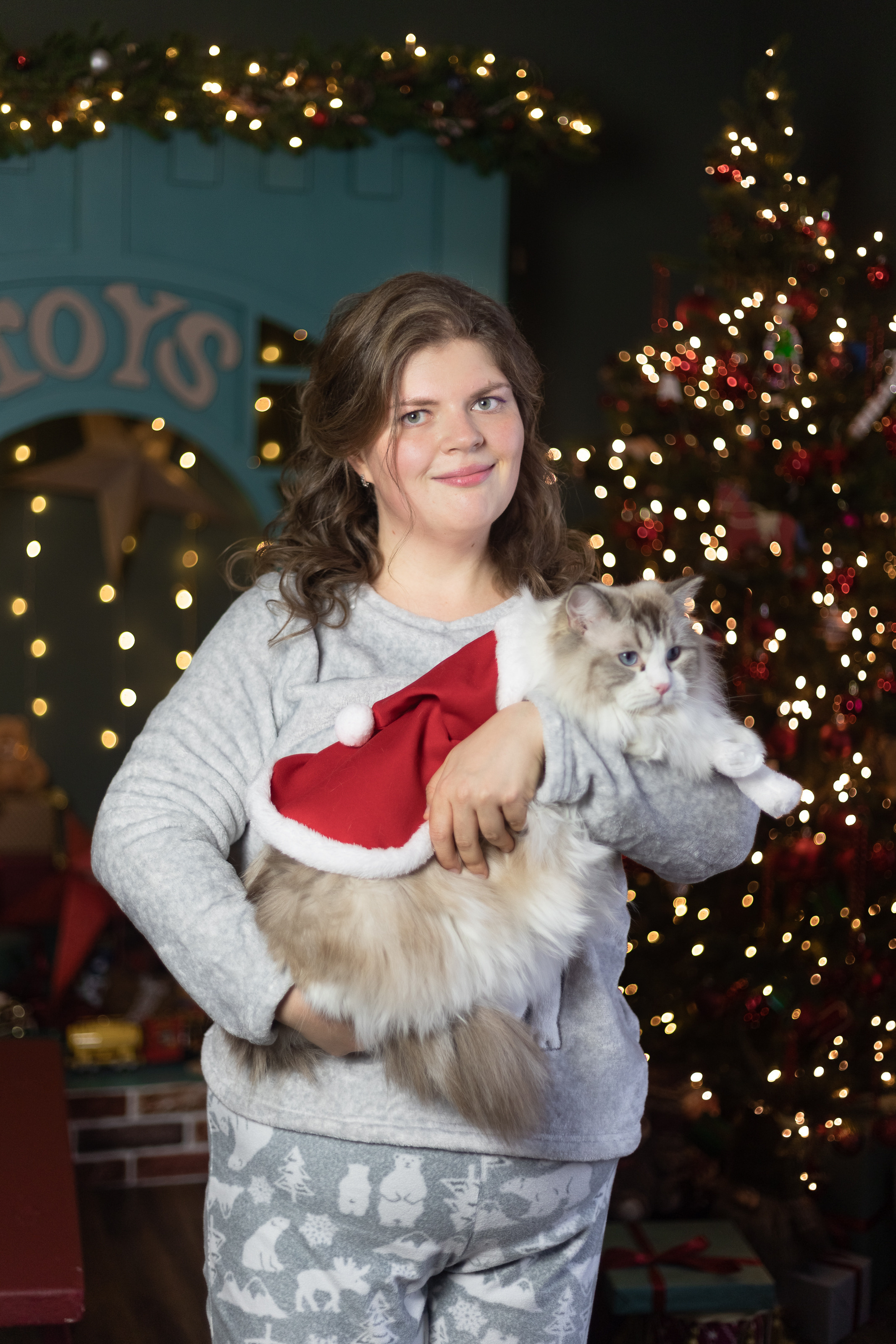 Новогодняя. Фотограф в Томске Юлия Постнова