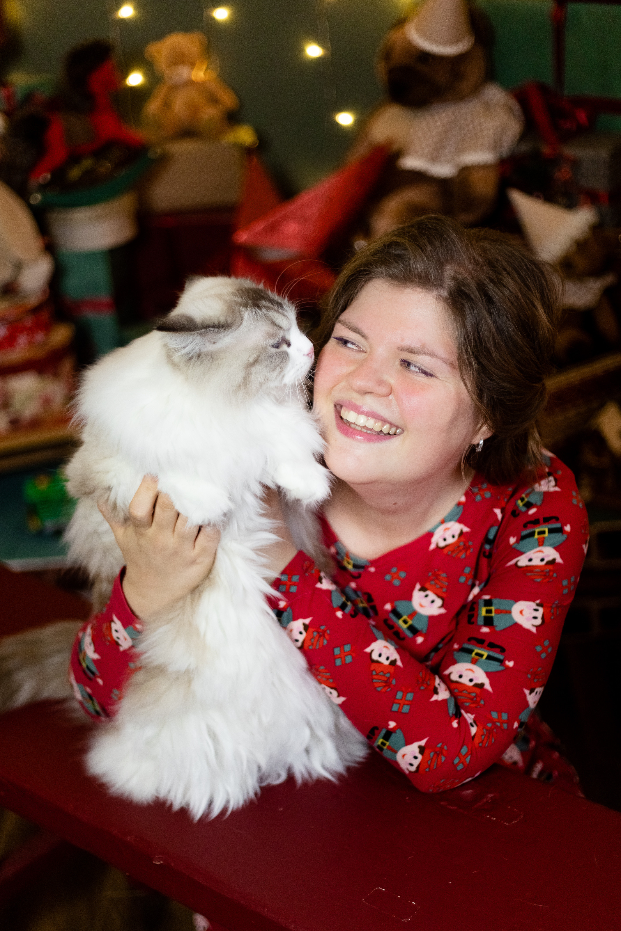 Новогодняя. Фотограф в Томске Юлия Постнова