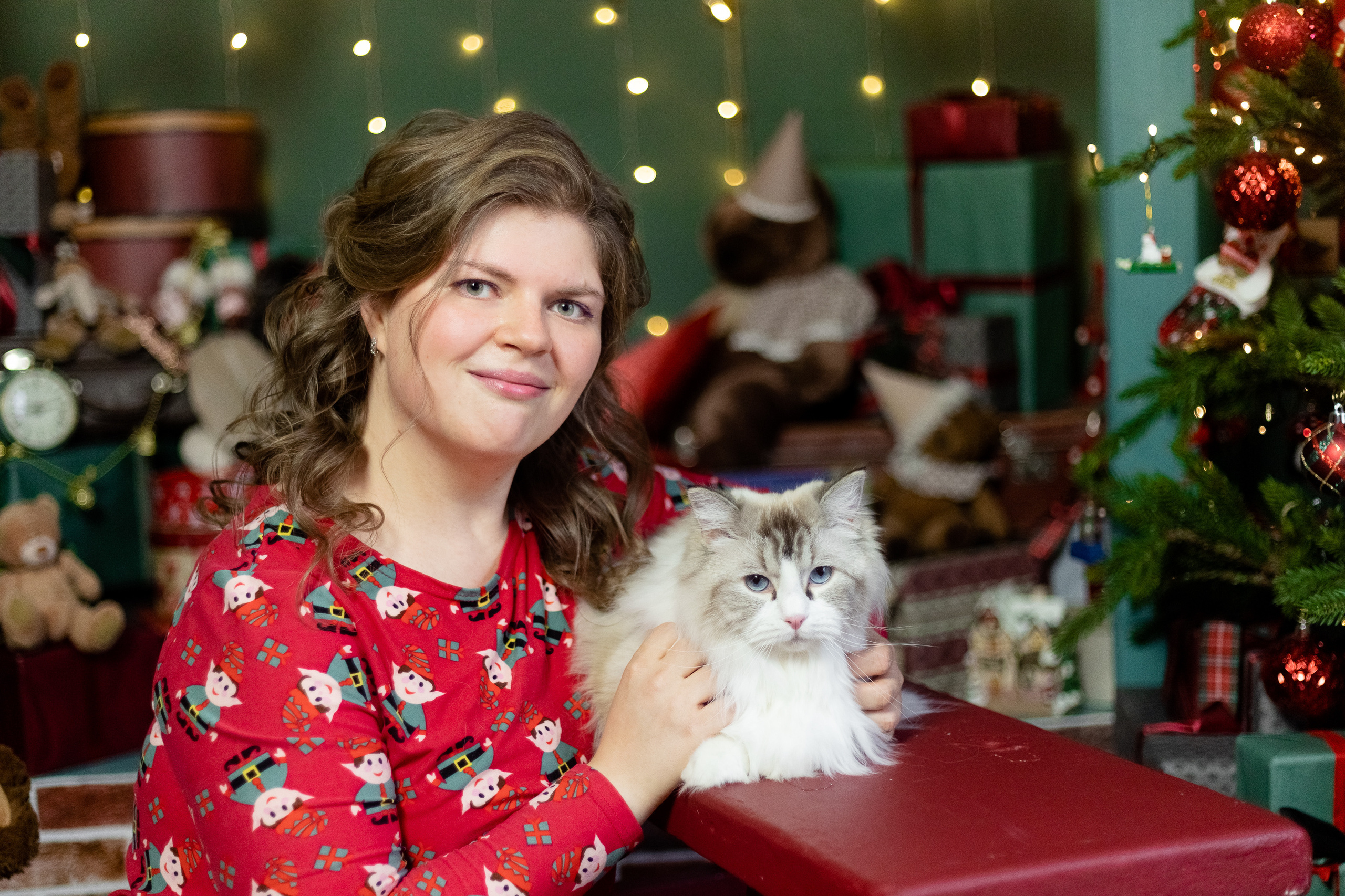 Новогодняя. Фотограф в Томске Юлия Постнова