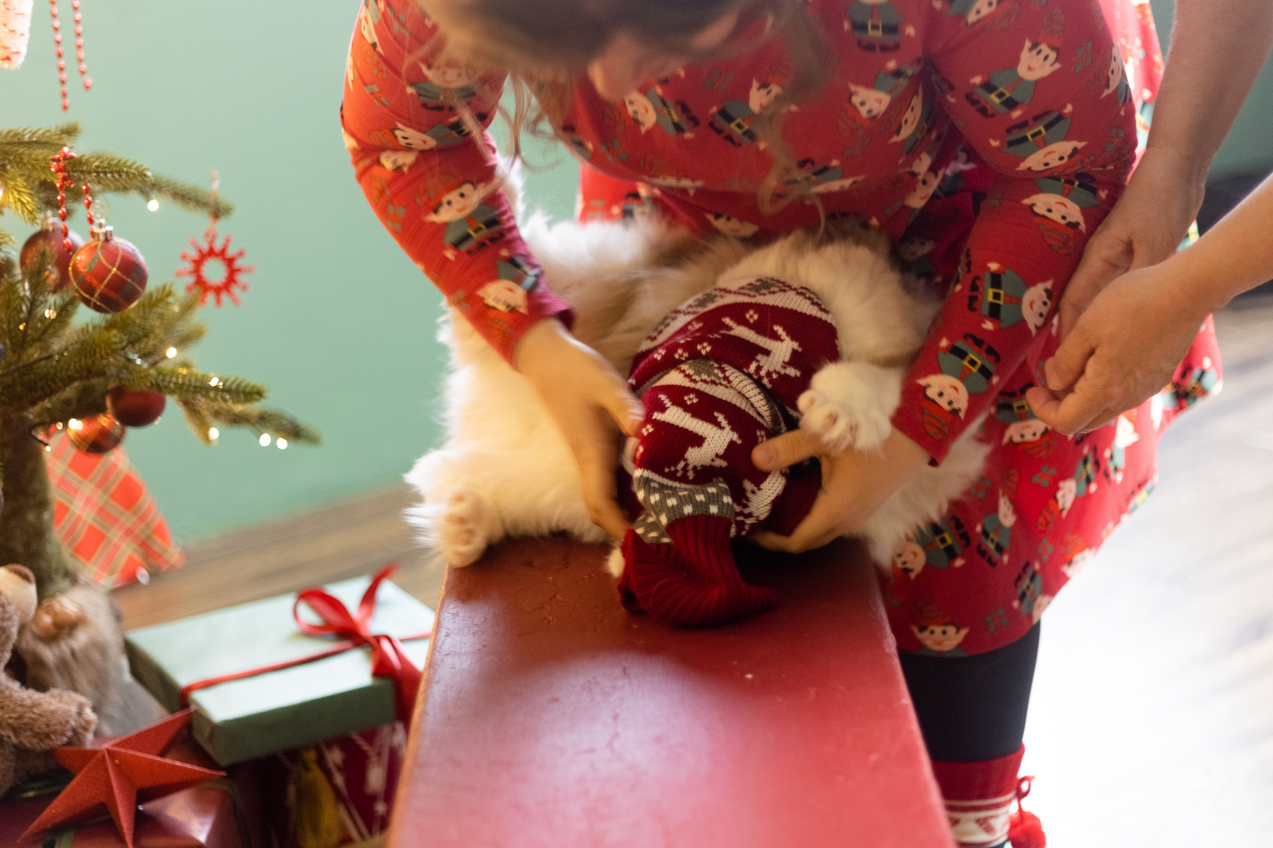 Новогодняя. Фотограф в Томске Юлия Постнова