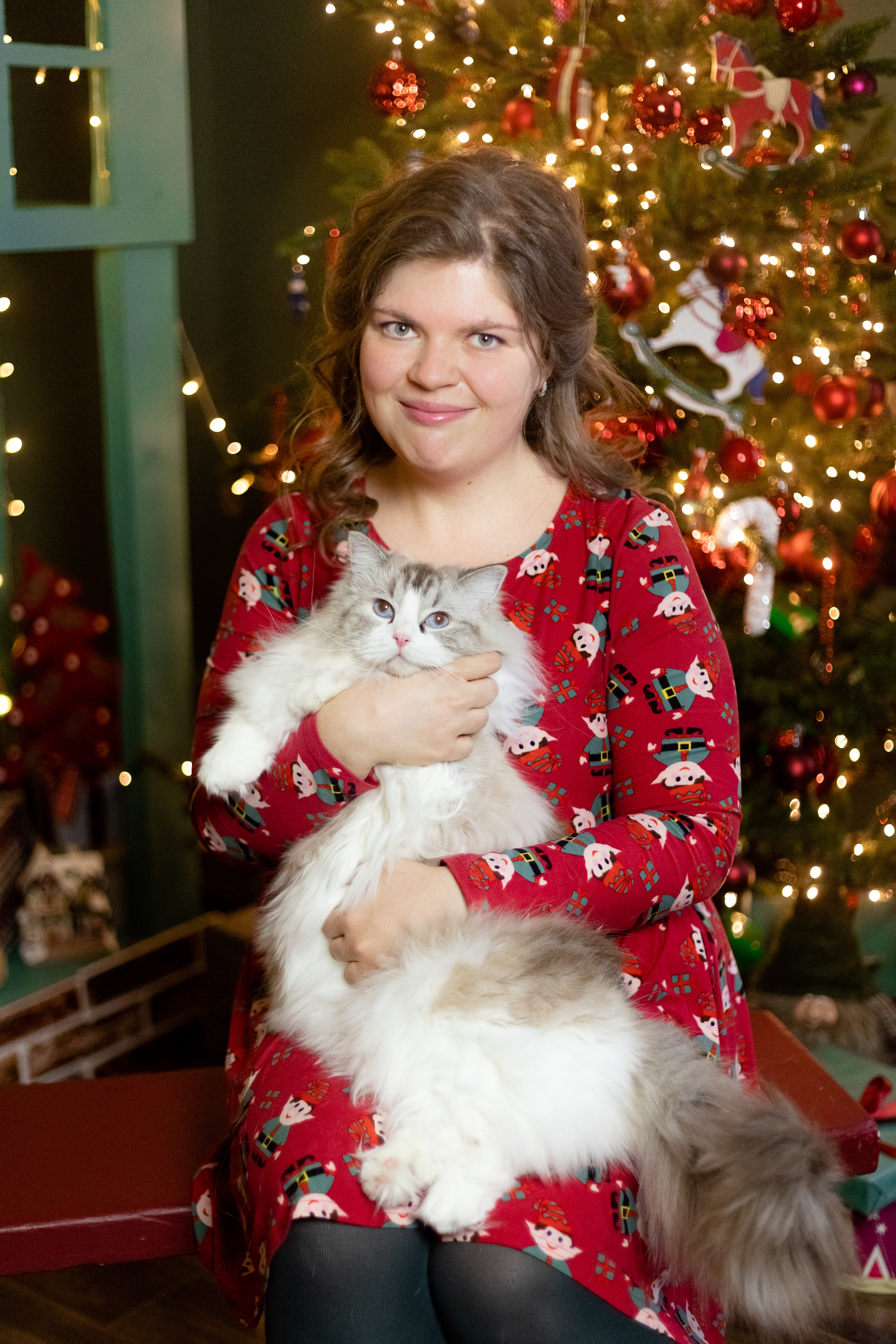 Новогодняя. Фотограф в Томске Юлия Постнова