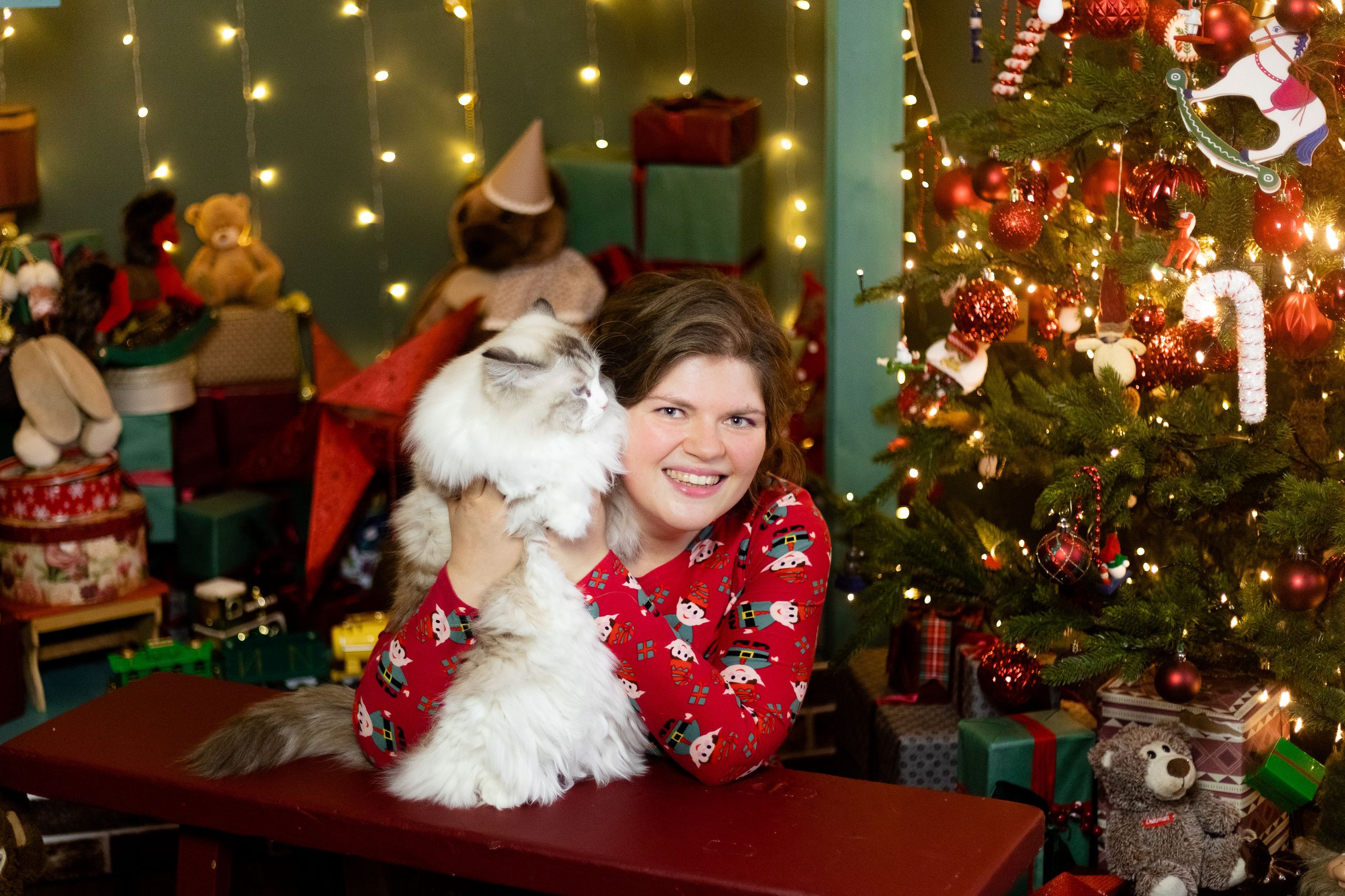 Новогодняя. Фотограф в Томске Юлия Постнова