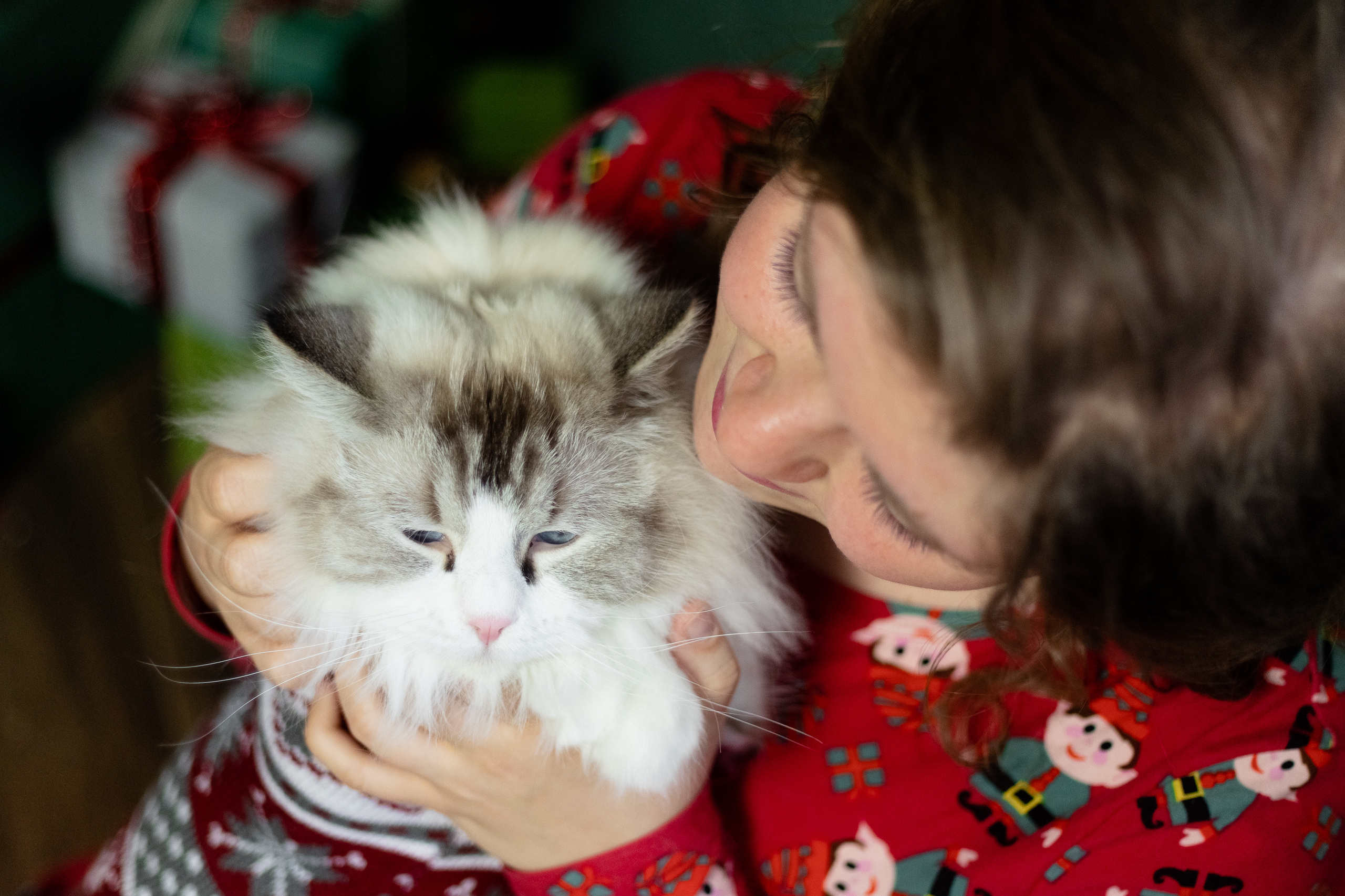 Новогодняя. Фотограф в Томске Юлия Постнова