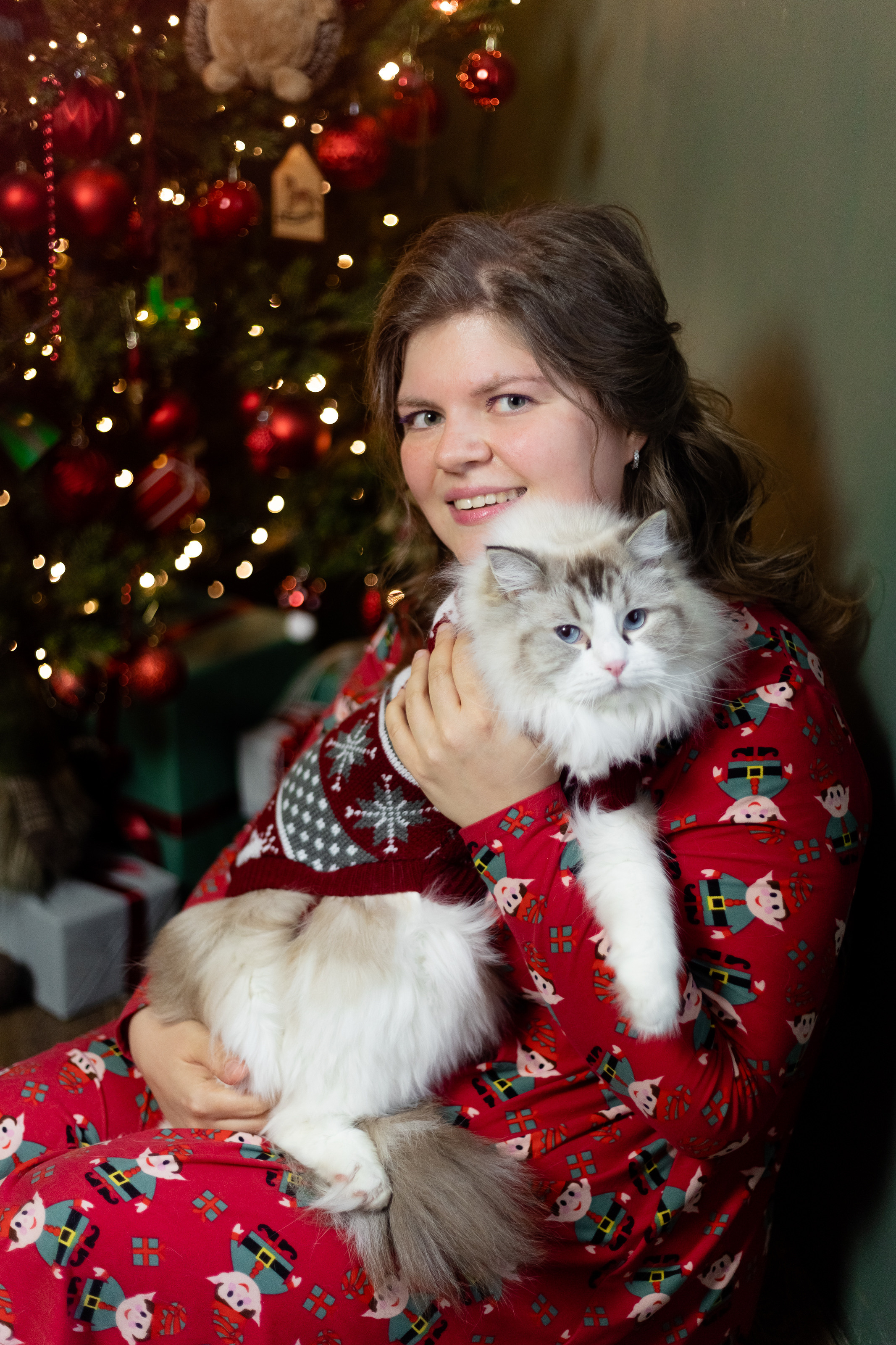 Новогодняя. Фотограф в Томске Юлия Постнова