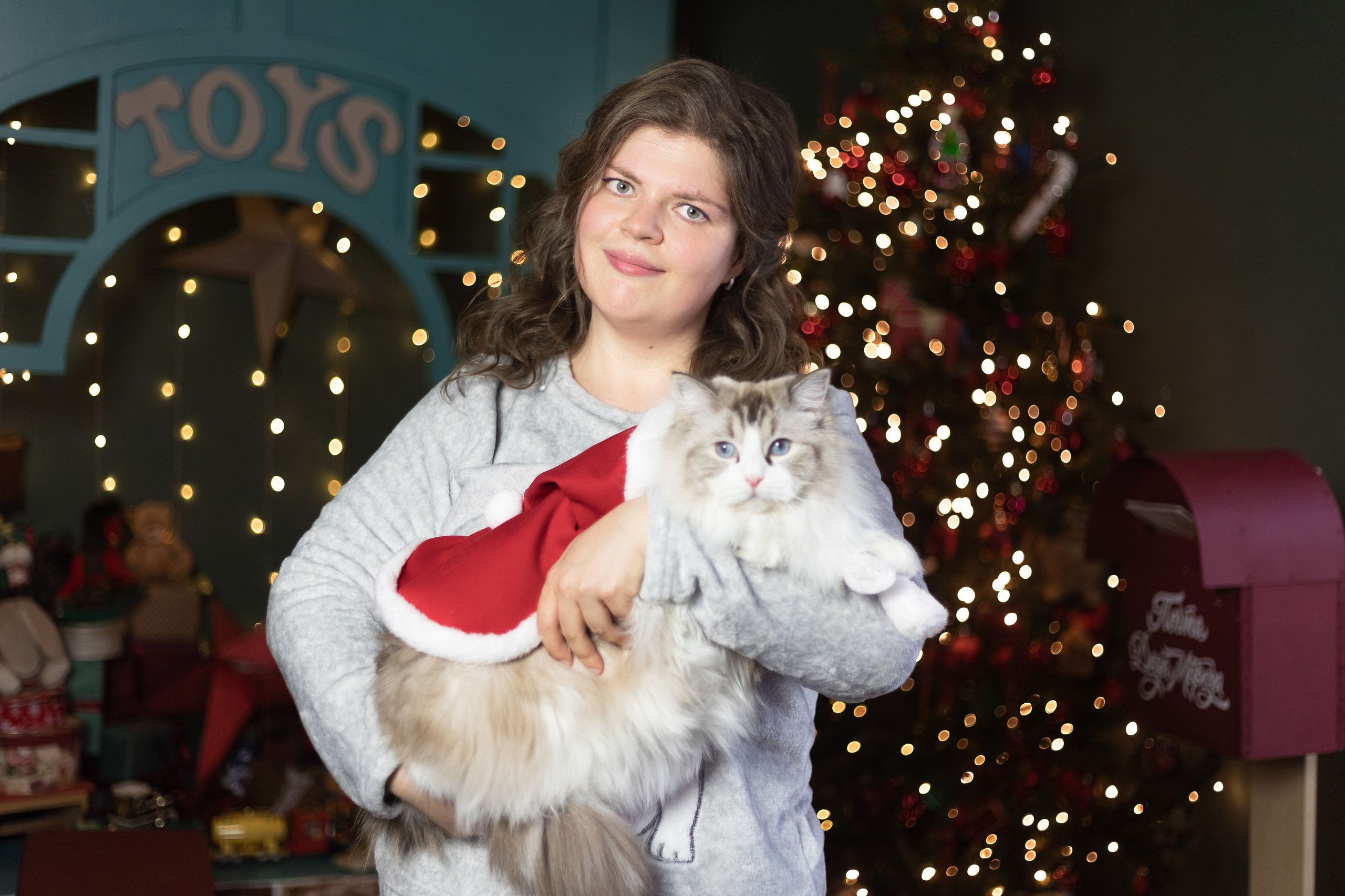 Новогодняя. Фотограф в Томске Юлия Постнова