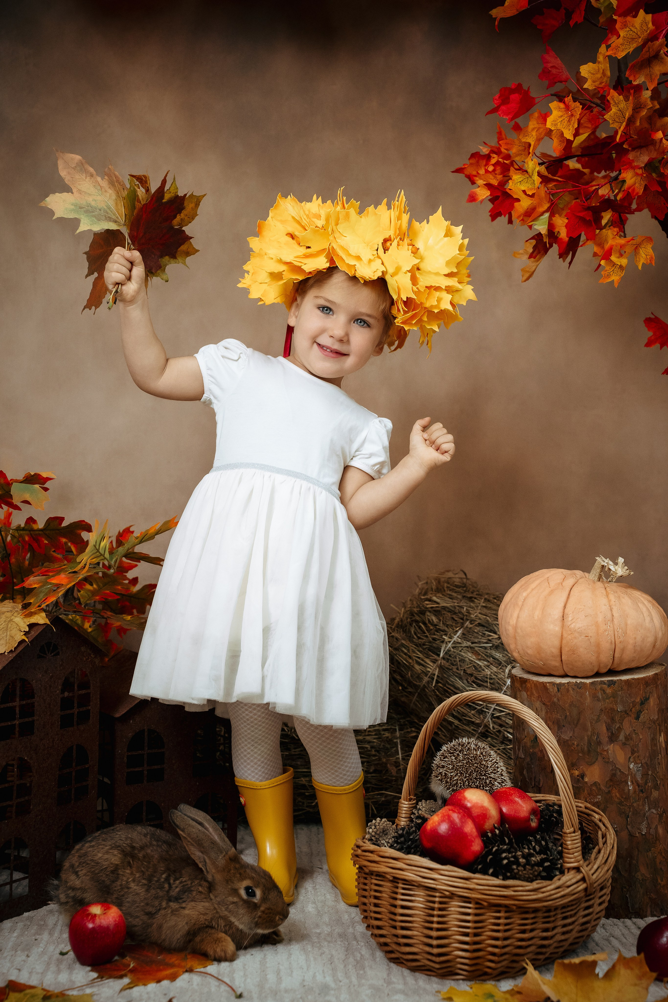 Ёжик. Фотограф Казакова Анастасия