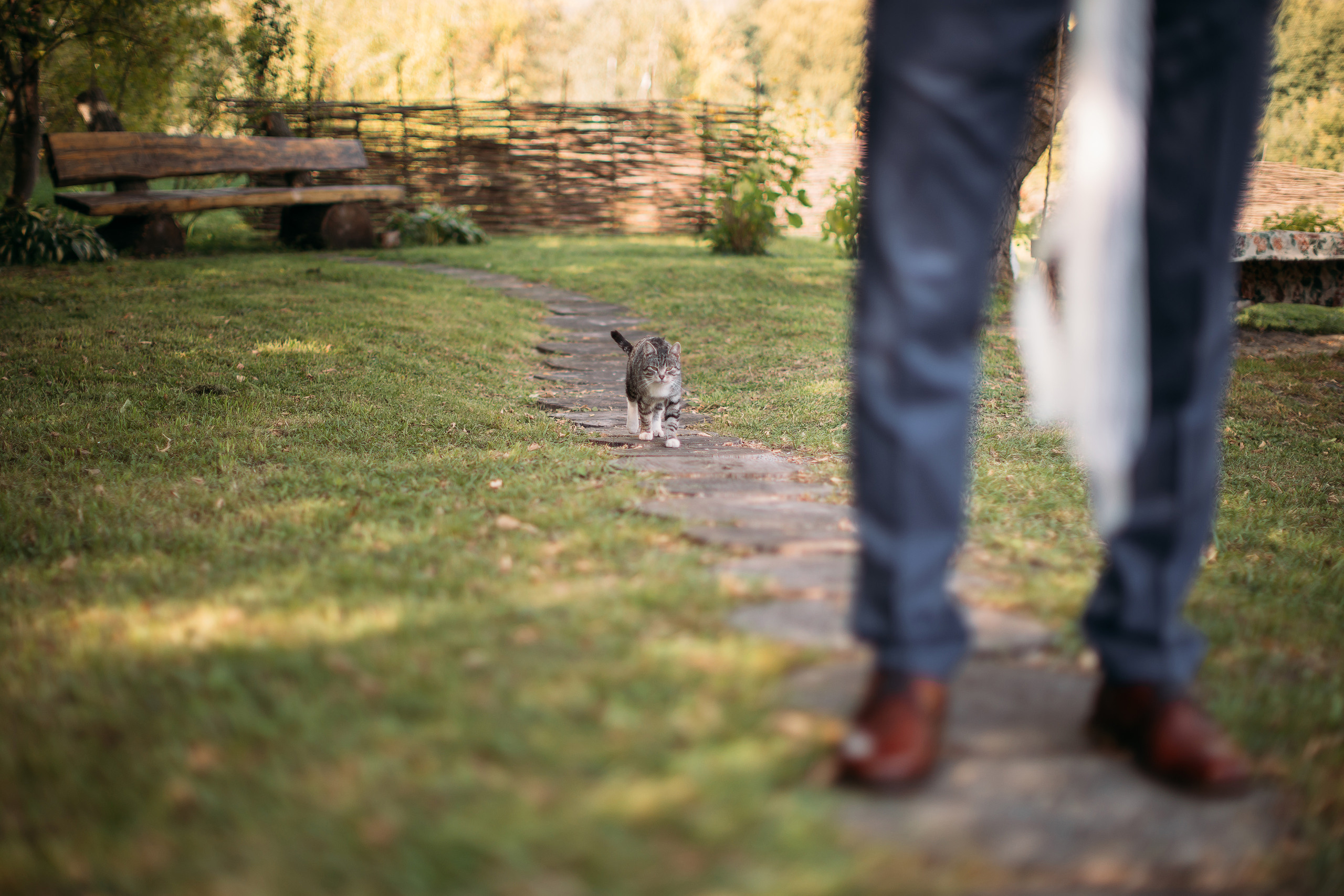 Свадьба на лучшей площадке в Туле. Алексей Зараковский. Свадебный и портретный фотограф в Туле