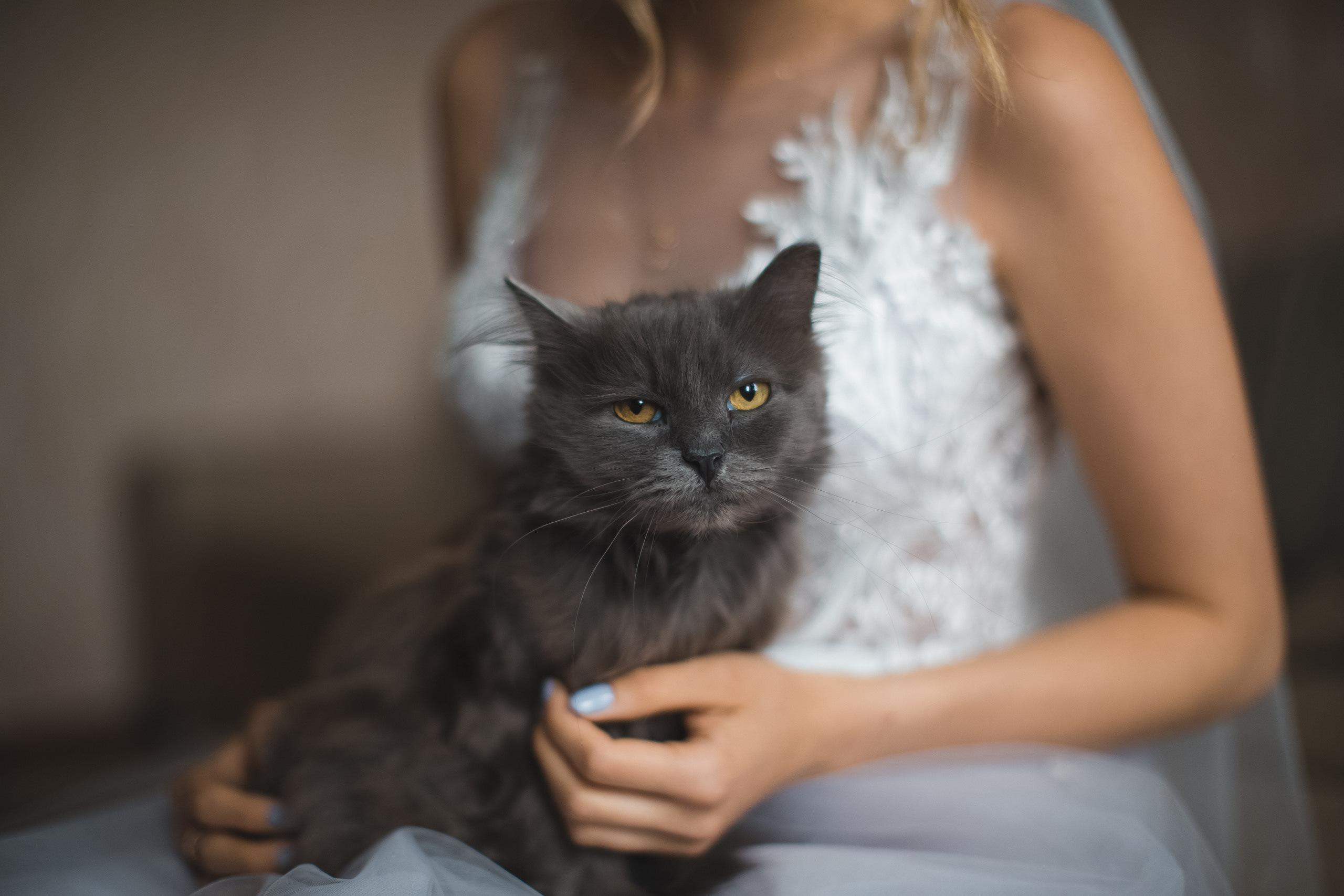 Животные на свадьбе-это к счастью). Алексей Зараковский. Свадебный и портретный фотограф в Туле