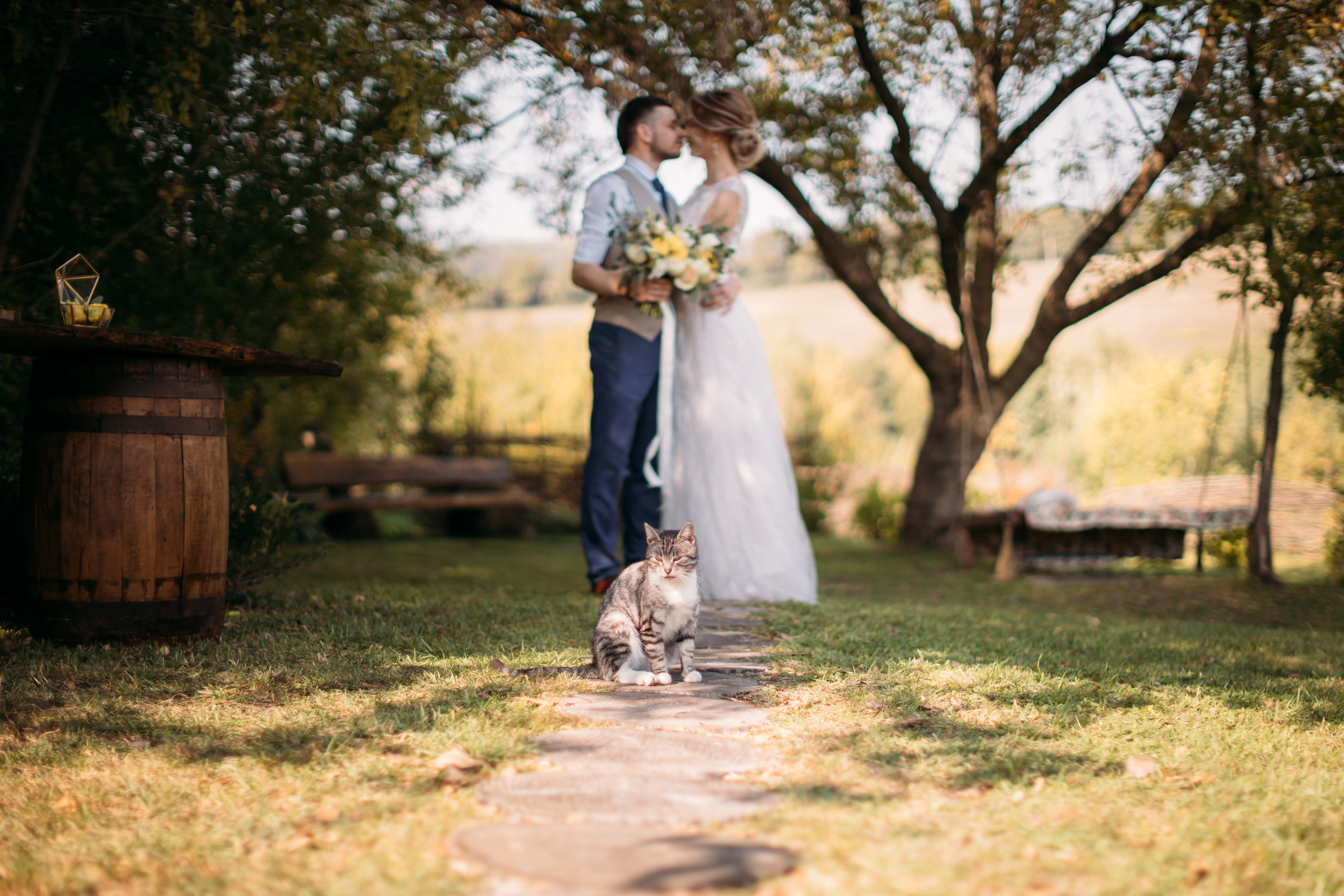 Свадьба на лучшей площадке в Туле. Алексей Зараковский. Свадебный и портретный фотограф в Туле