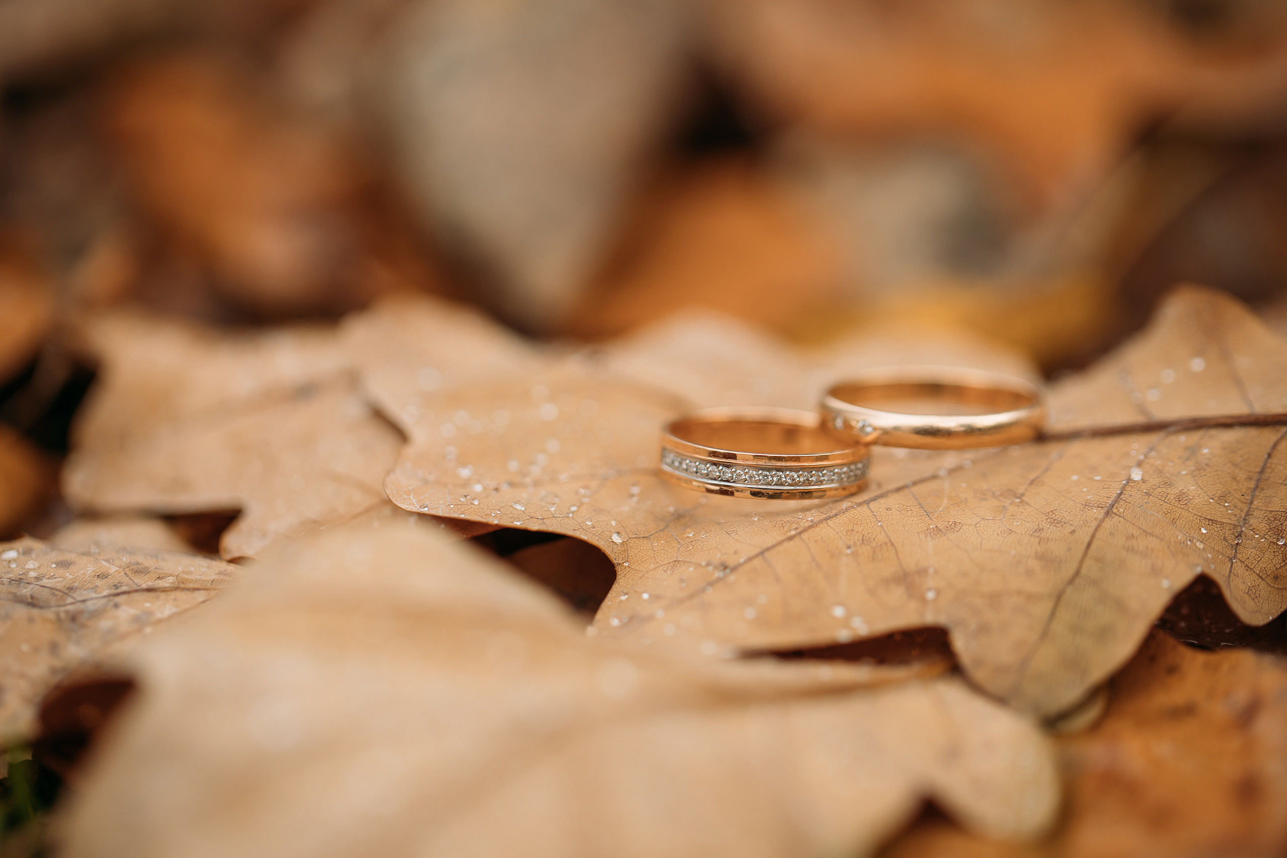 Но я жду чуда…. Алексей Зараковский. Свадебный и портретный фотограф в Туле