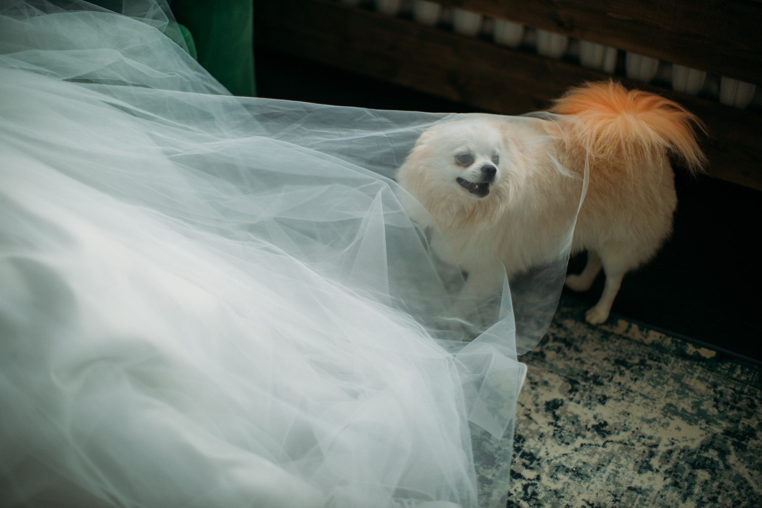 Но я жду чуда…. Алексей Зараковский. Свадебный и портретный фотограф в Туле