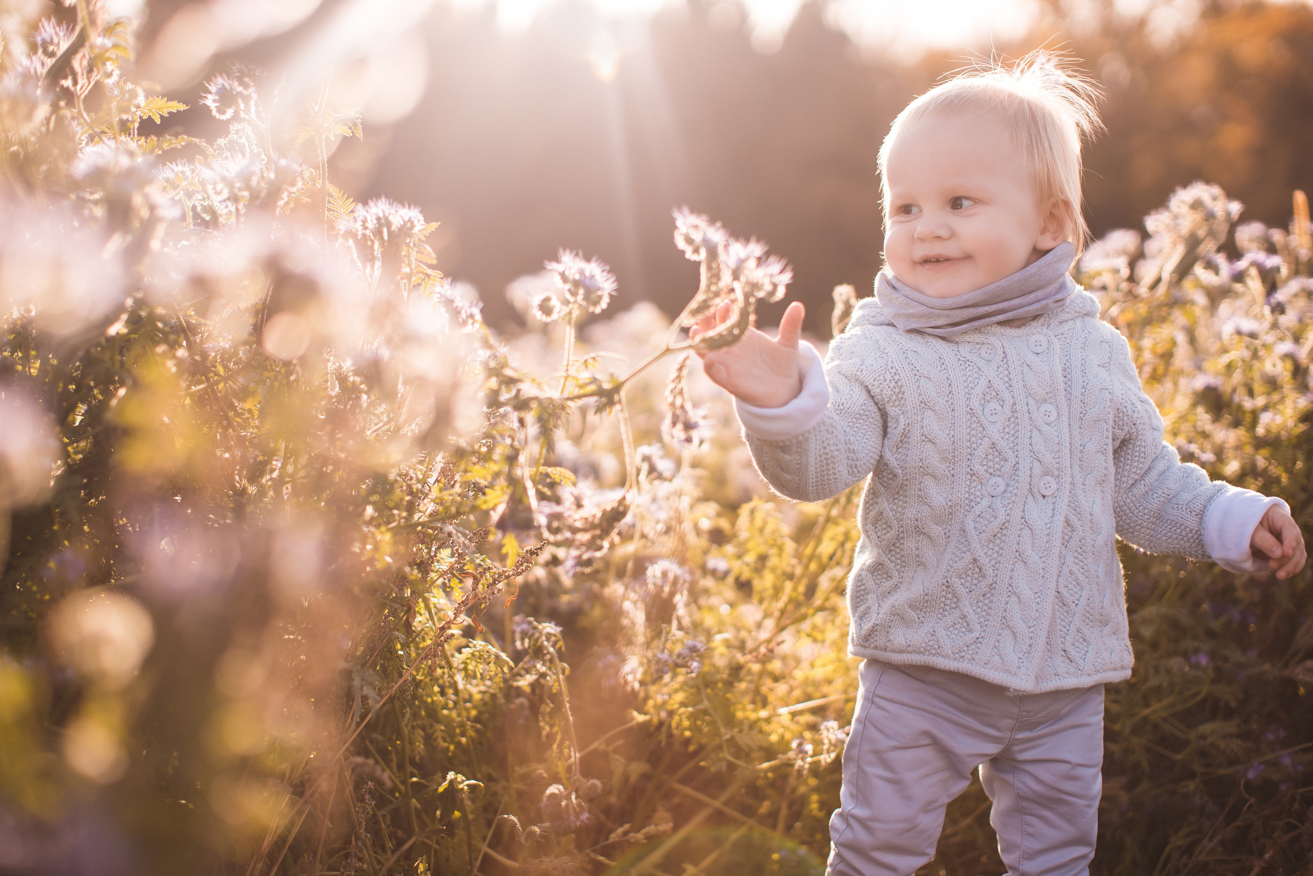 Семейная съемка. Алексей Зараковский. Свадебный и портретный фотограф в Туле