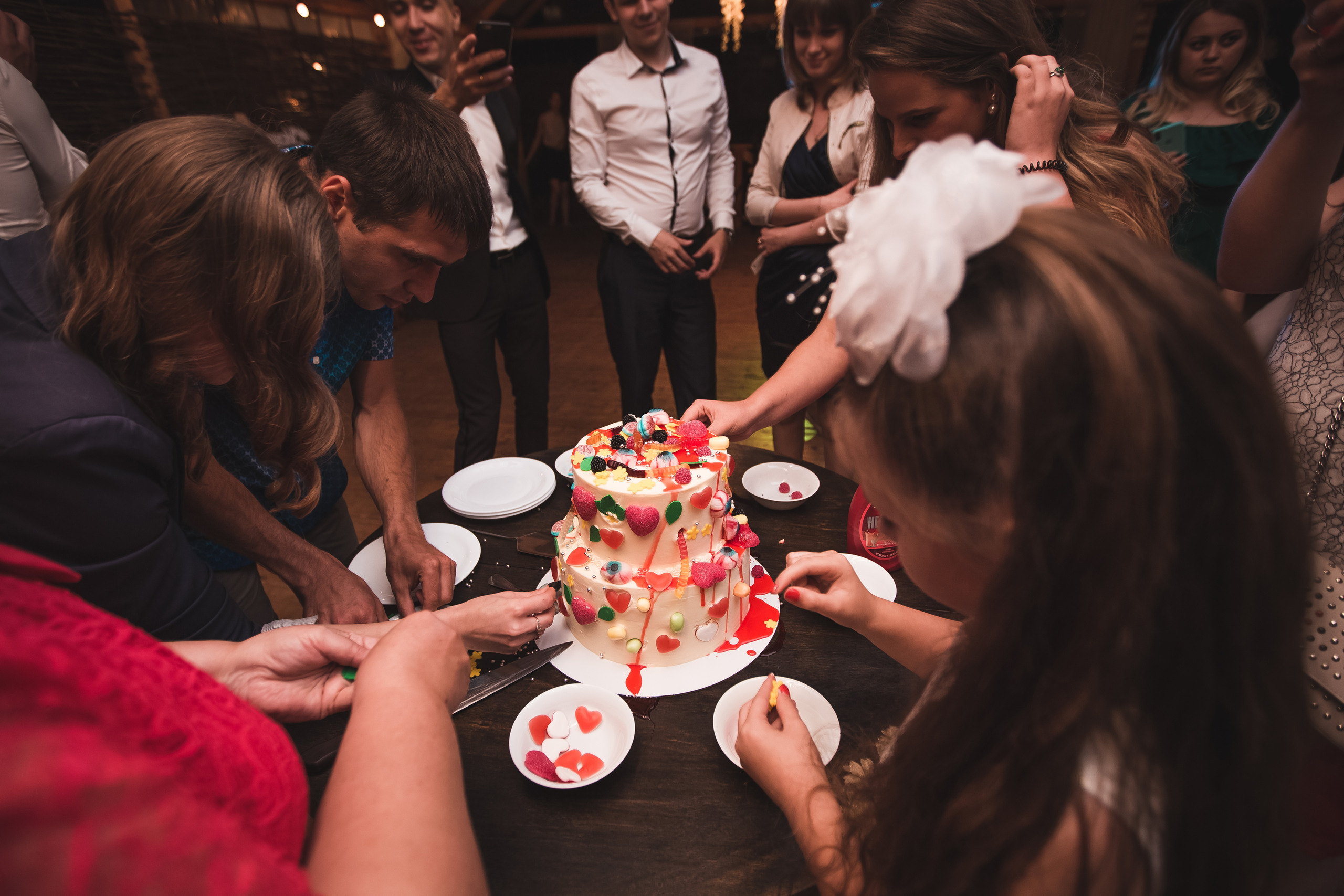 Животные на свадьбе-это к счастью). Алексей Зараковский. Свадебный и портретный фотограф в Туле