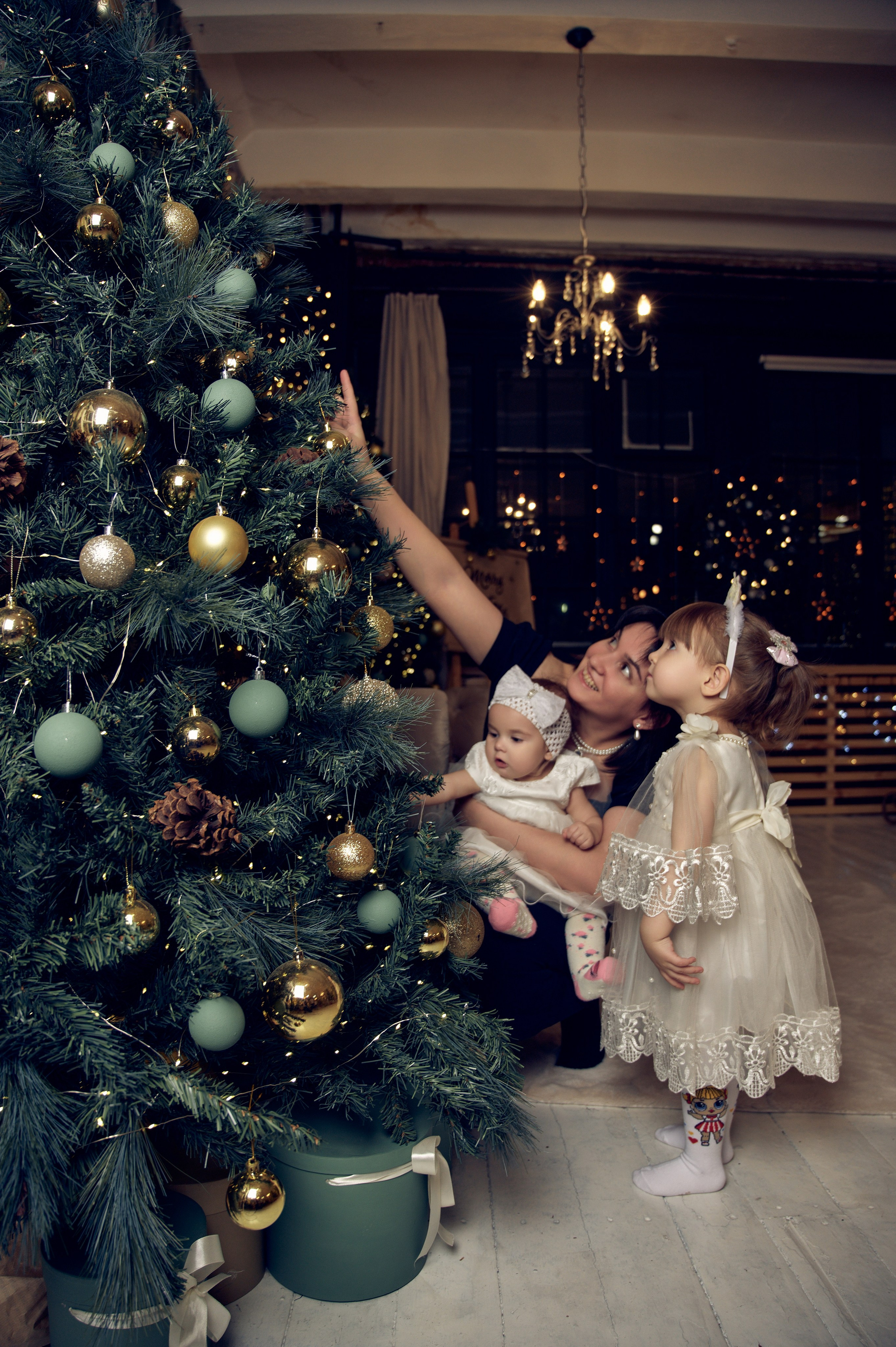 Новогодняя фотоссеия для Штайгеров