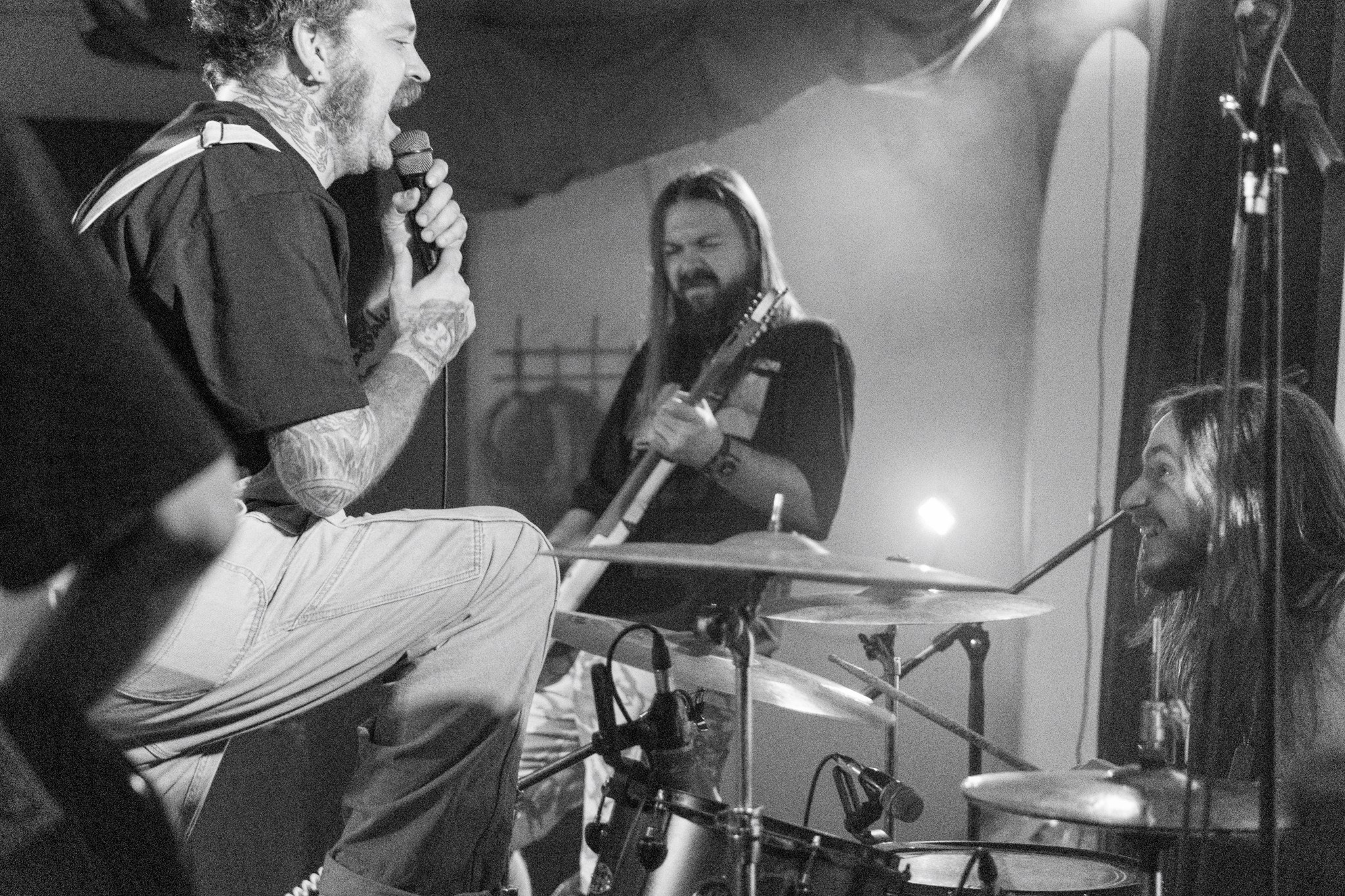 Змееед, Apodemus, 20.12.25, TAGO)))MAGO)))