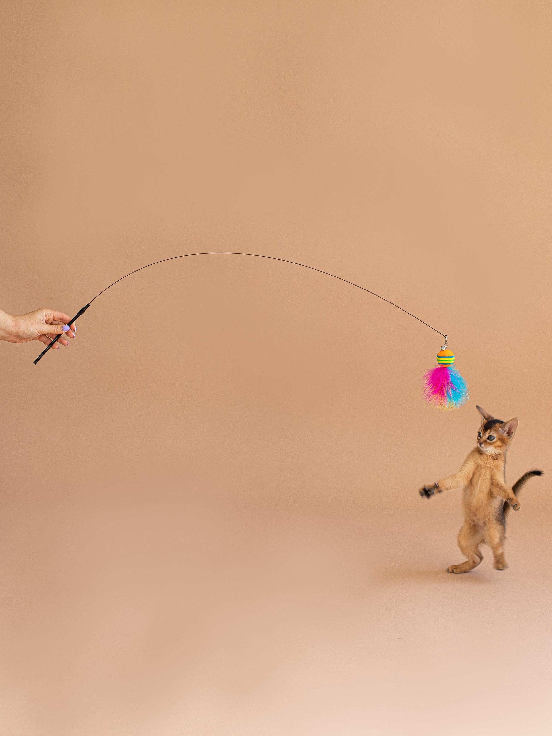 Маркетплейсы WB/OZON/Яндекс Маркет. Свадебный фотограф Москва. Семейный фотограф. Предметная съемка, съемка одежды