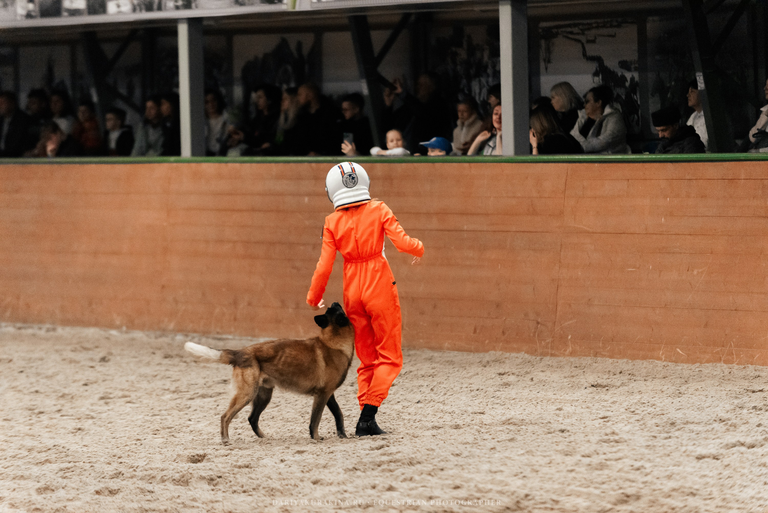 Конное представление «Дыхание Звёзд». Конный фотограф Куракина Дарья • Фотосессии с лошадьми