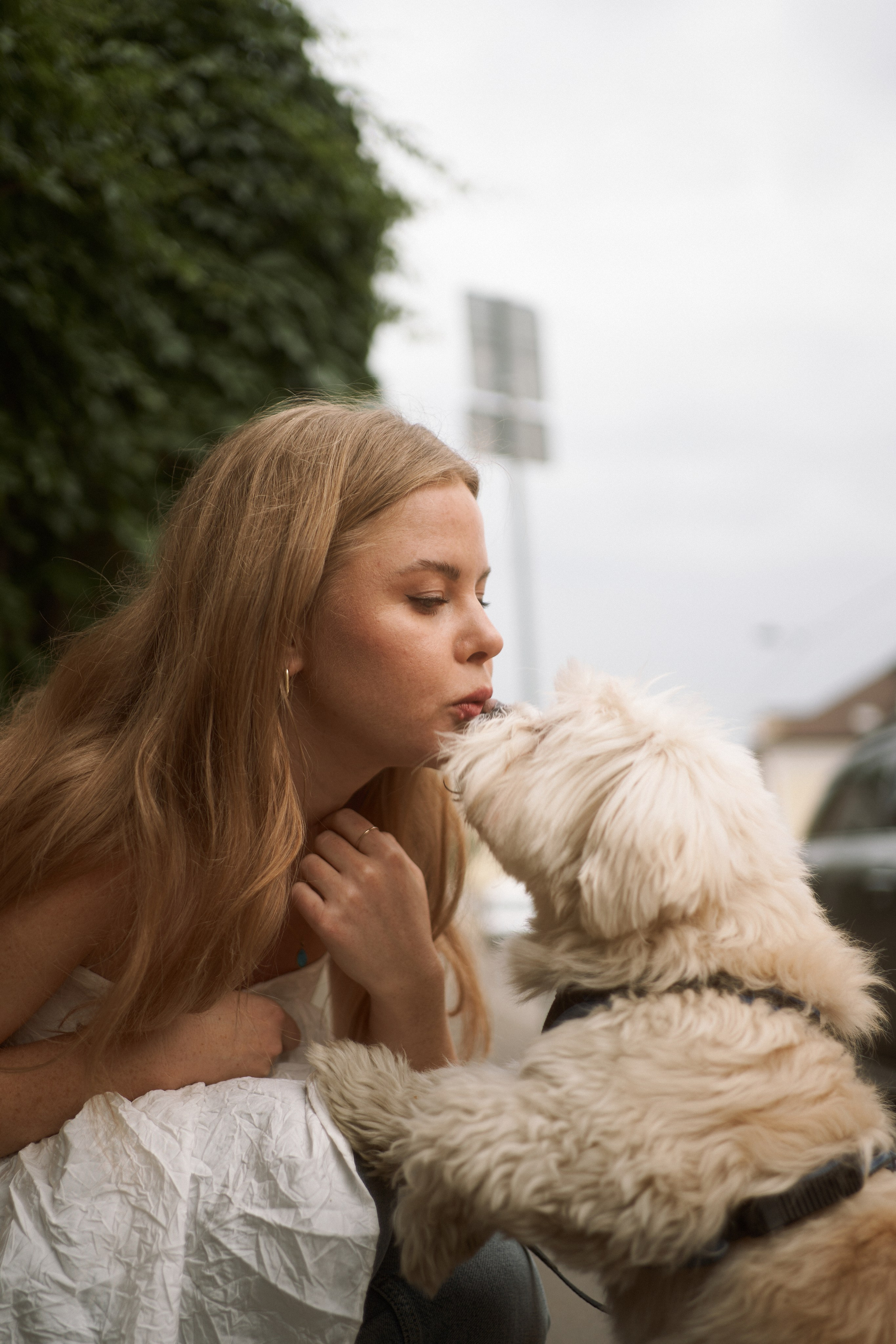 Ира и Антон. Фотограф анималист Москва Дарья