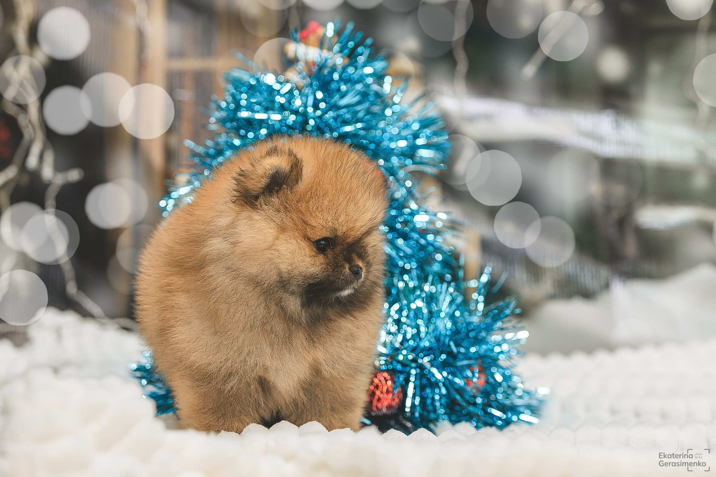 Фотодень. Htykk_photo