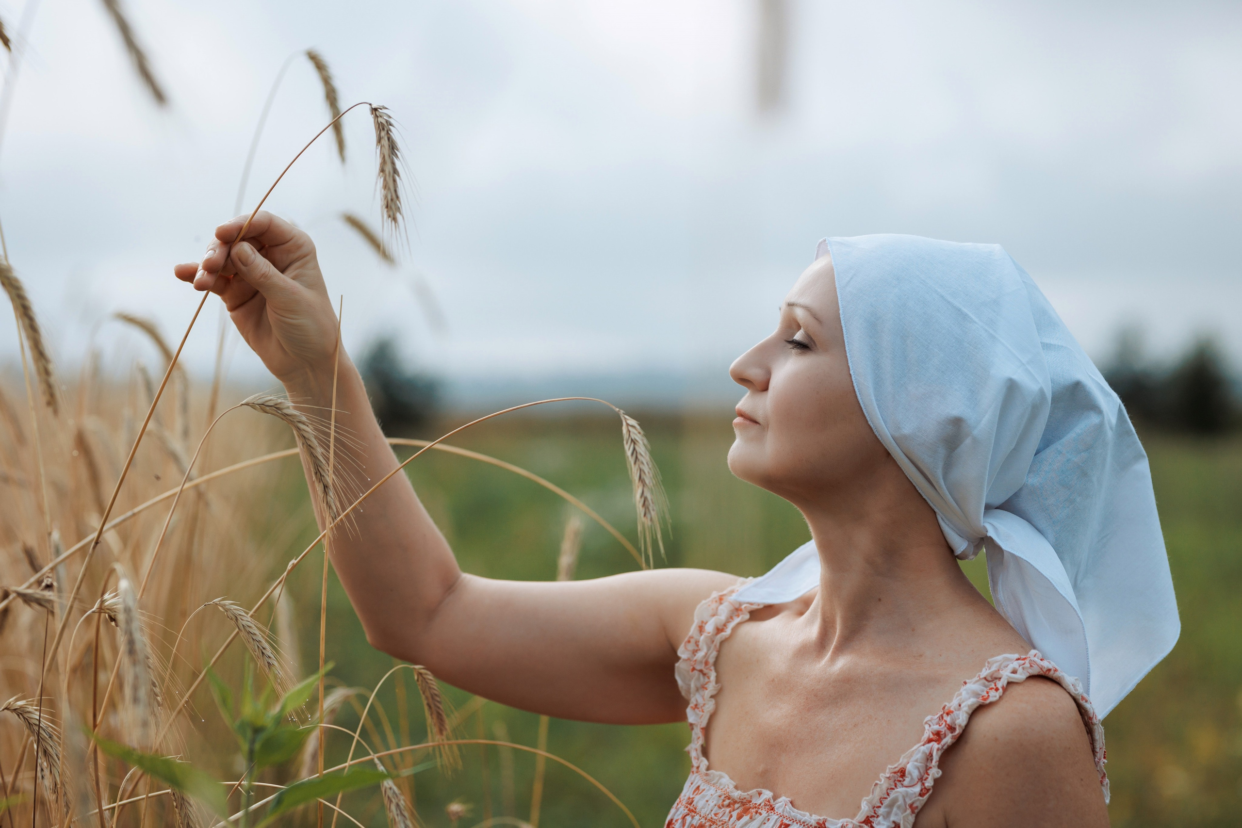 2025-08-10. Пшеничное поле