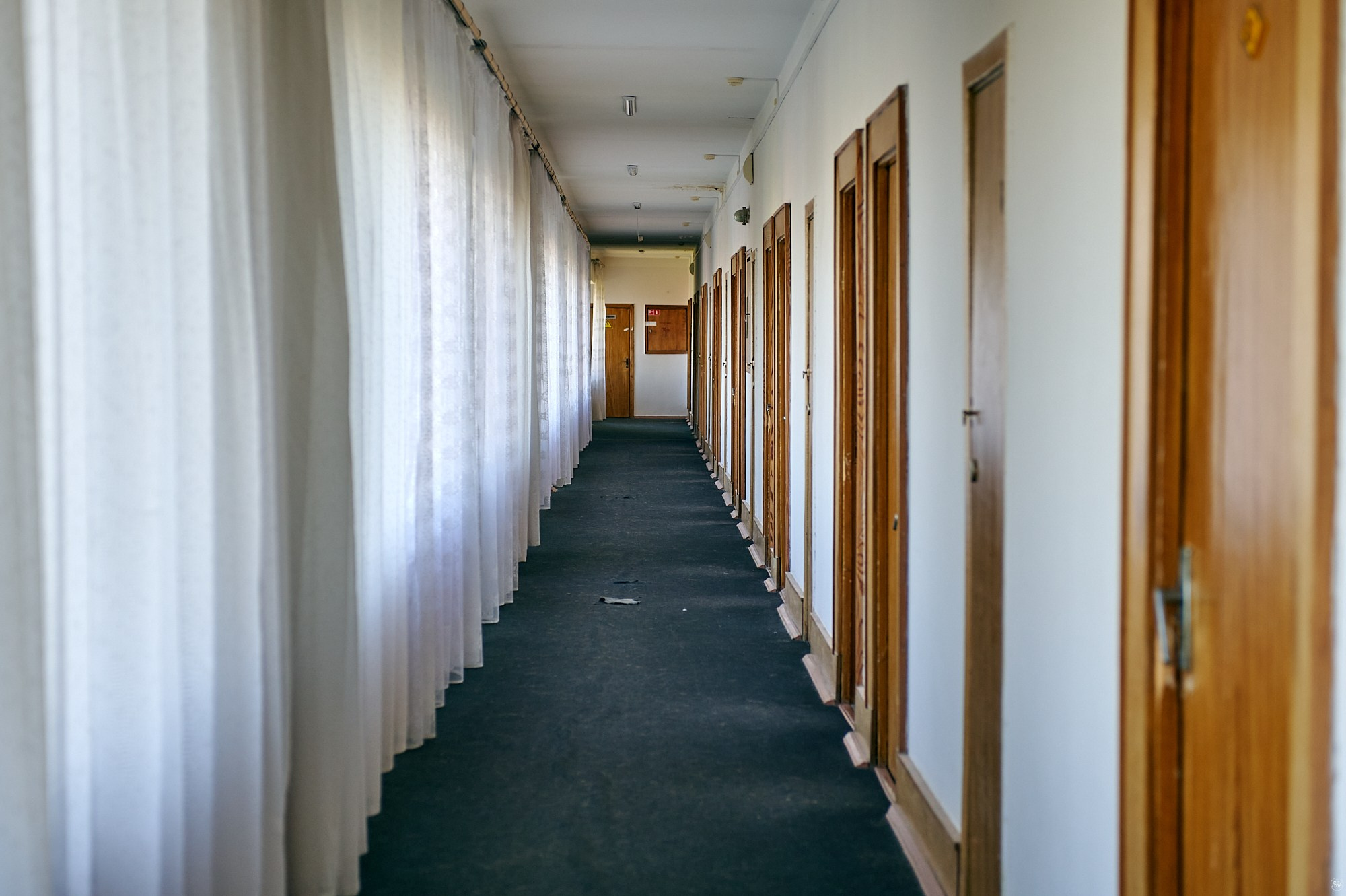 Санаторий им. Семашко, Кисловодск, август 2024. Фотографии отовсюду и обо всем