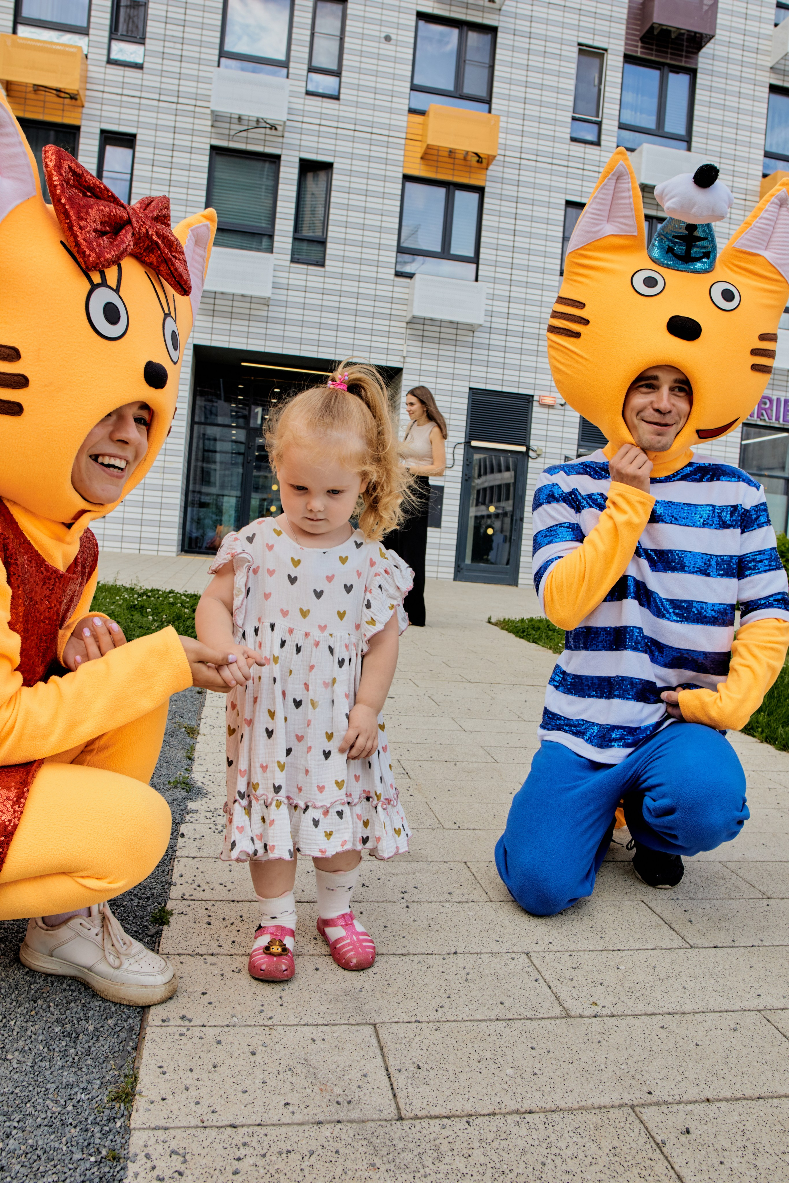 Три кота. Фотограф Москва