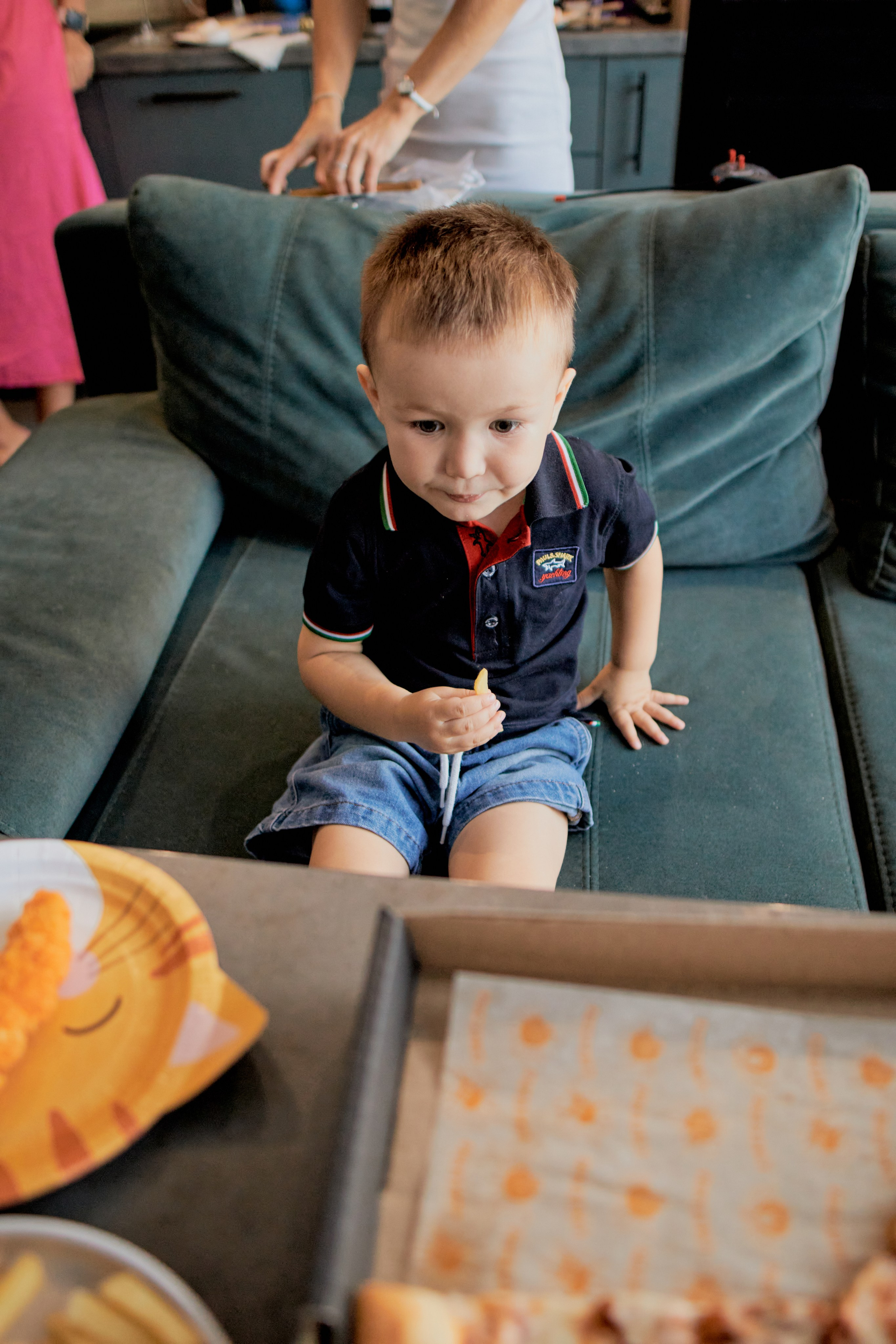 Три кота. Фотограф Москва