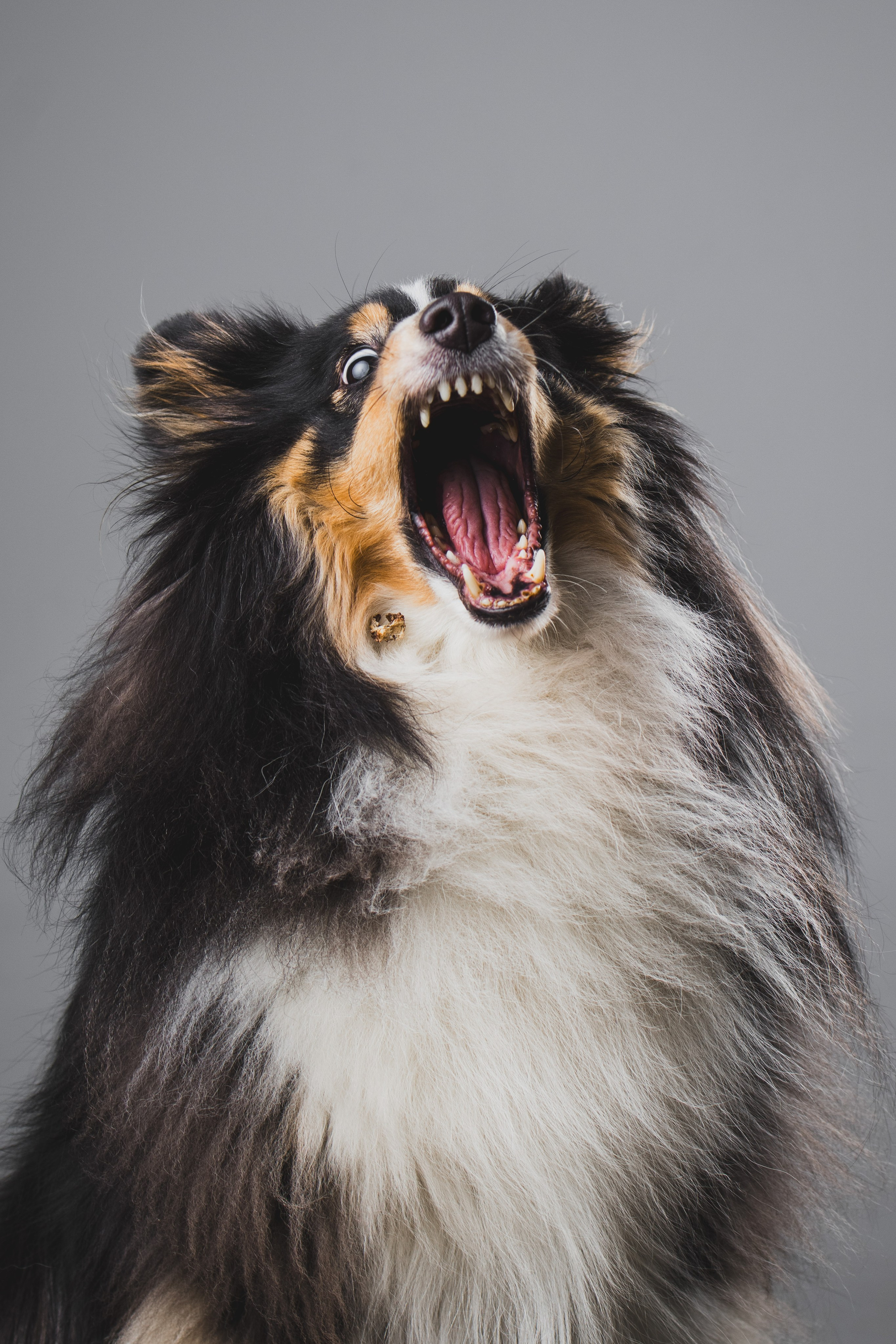 Воркшоп по импульсному свету