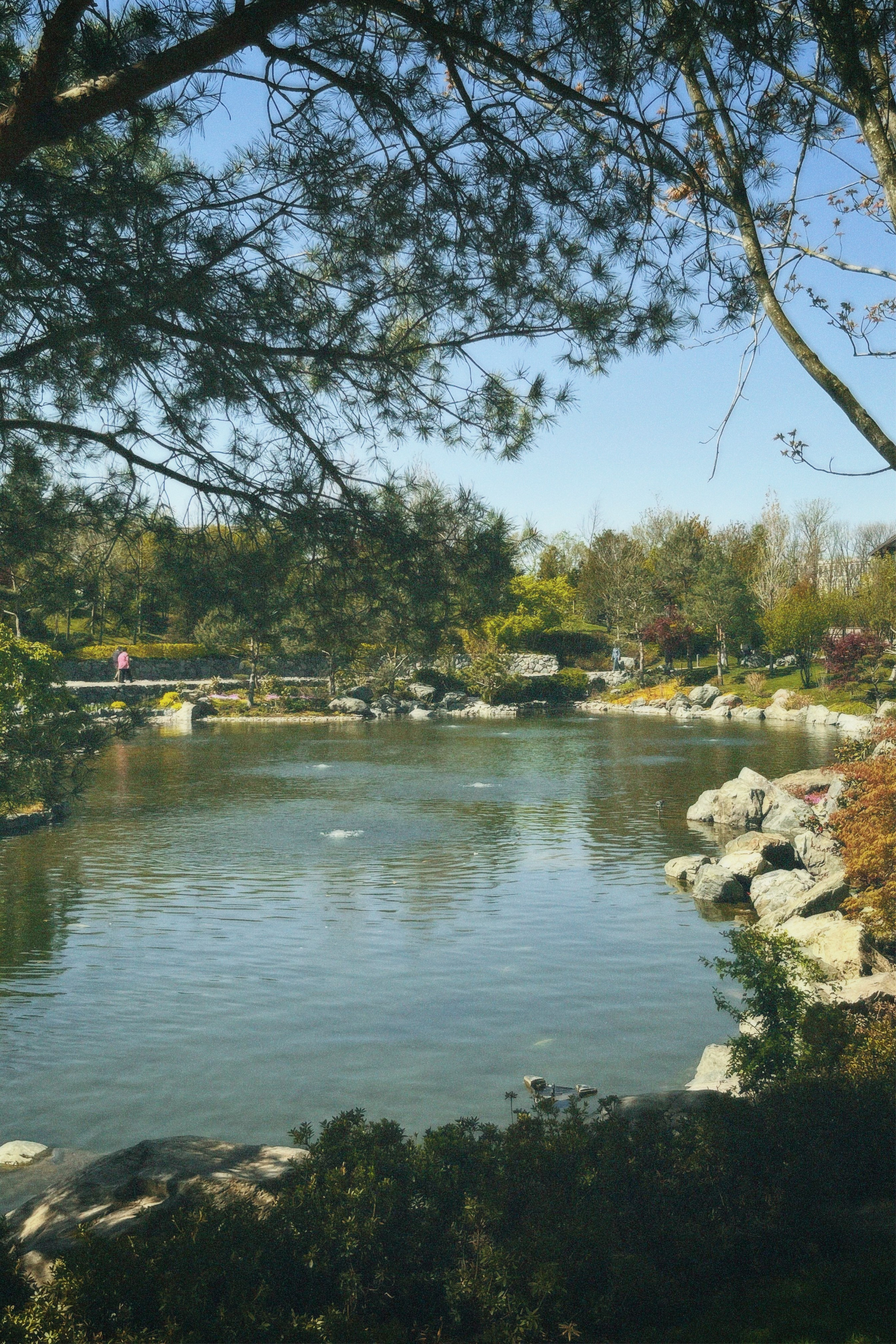 КРАСНОДАР. Портретный и лавстори фотограф в Стерлитамаке Альбина Шарт