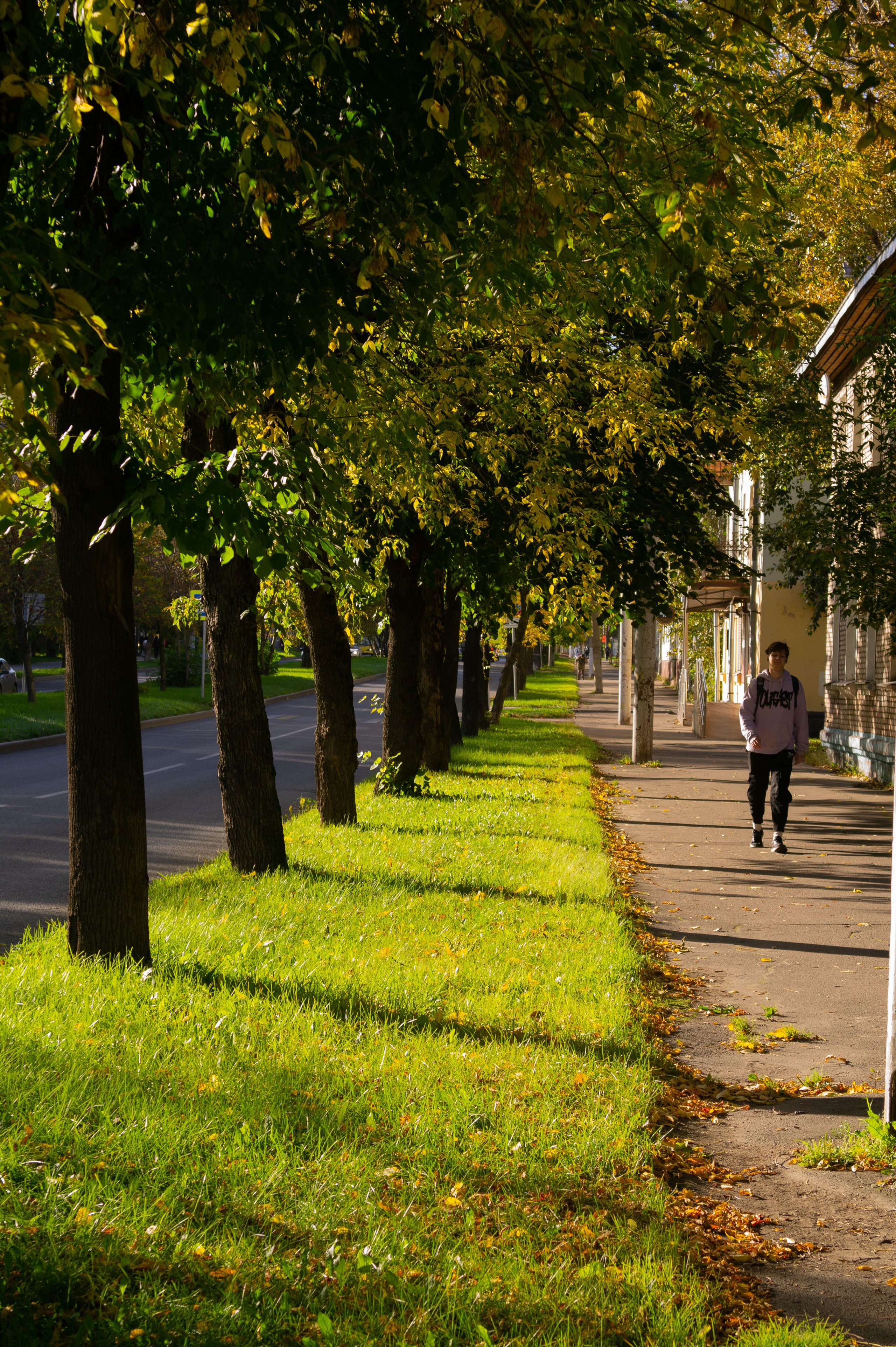 Сентябрь 2025. Den Mirov — Фотограф, Музыкант