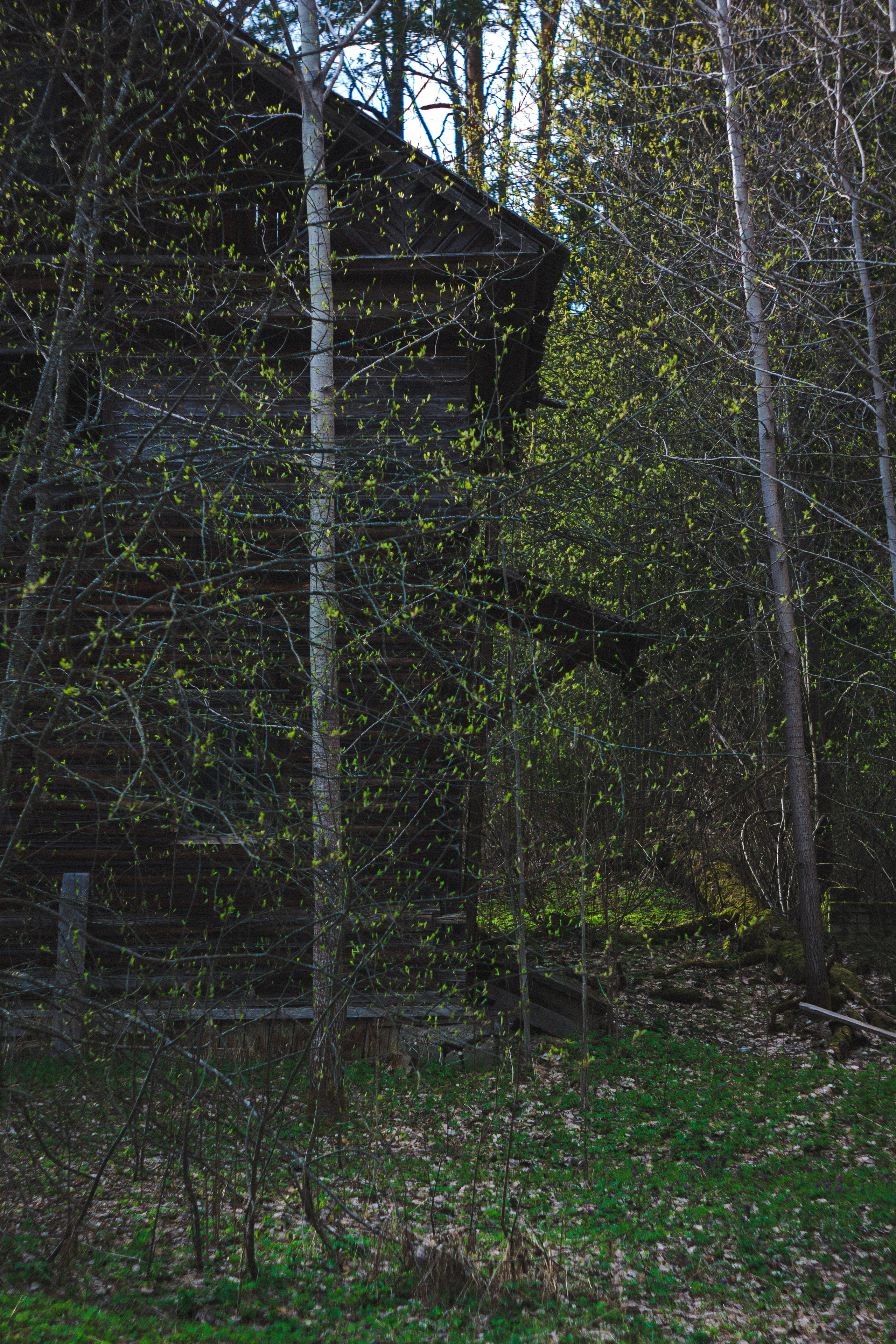 Деревня. Den Mirov — Photographer, Musician