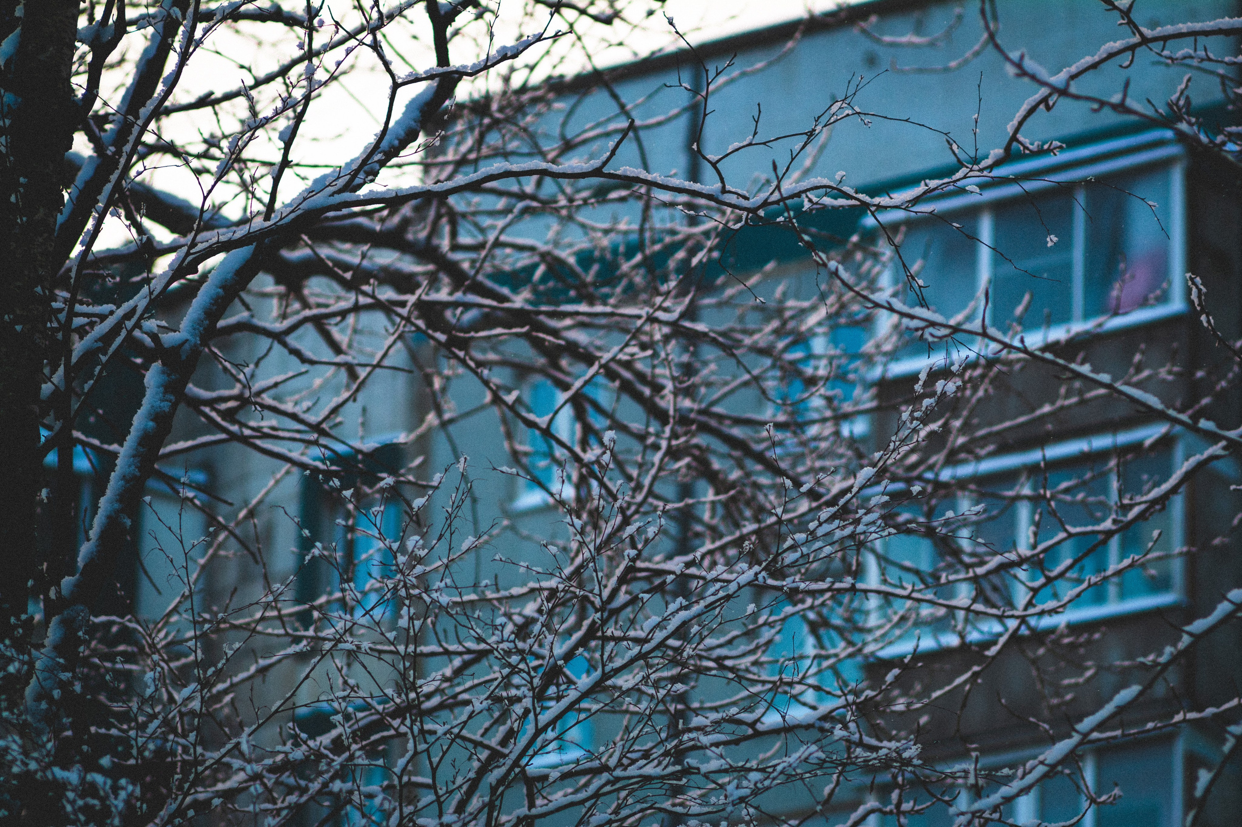 Еще один сет. Den Mirov — Фотограф, Музыкант