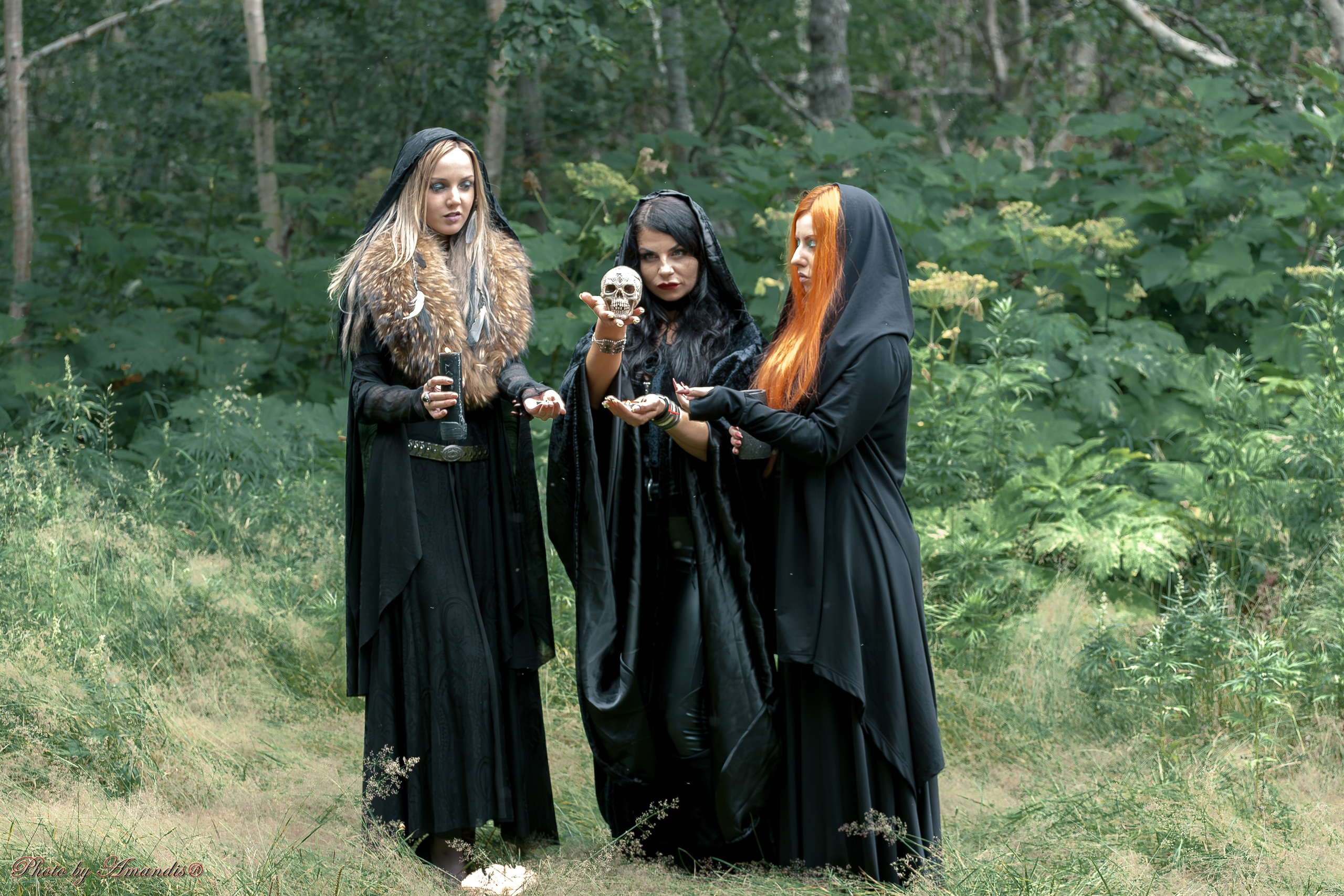 The witches. Репортажная съемка в Москве и области. Анималистика
