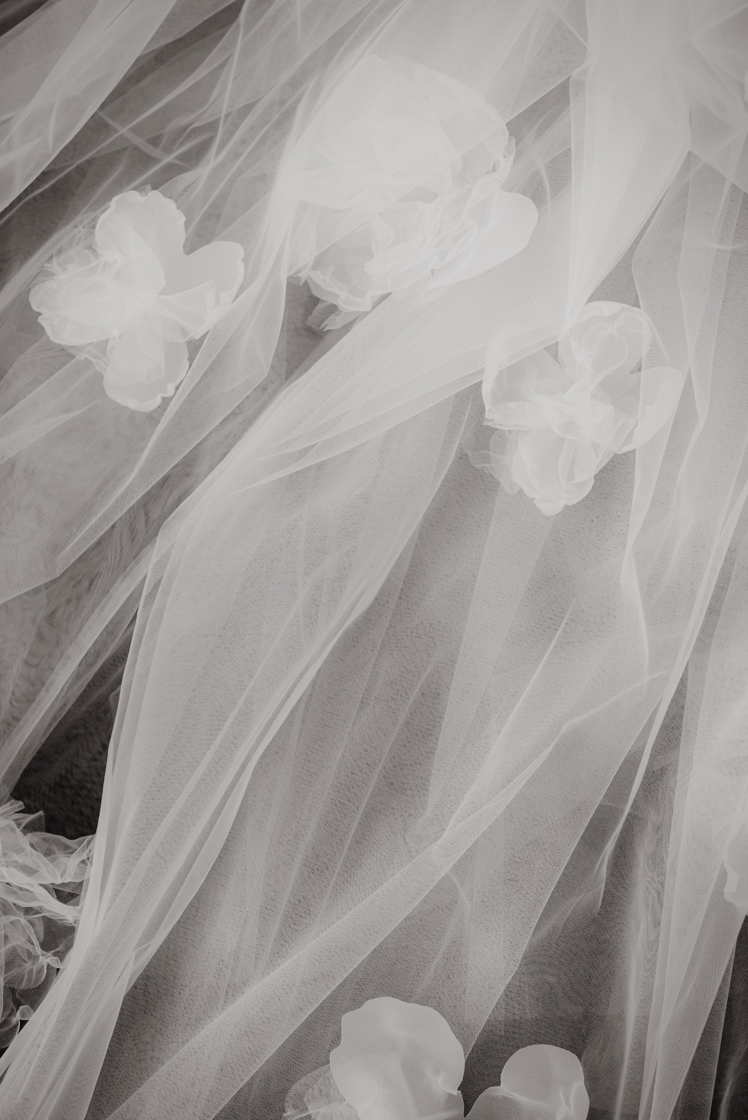 Иван и Юлия. Фотограф в Томске Мария Март