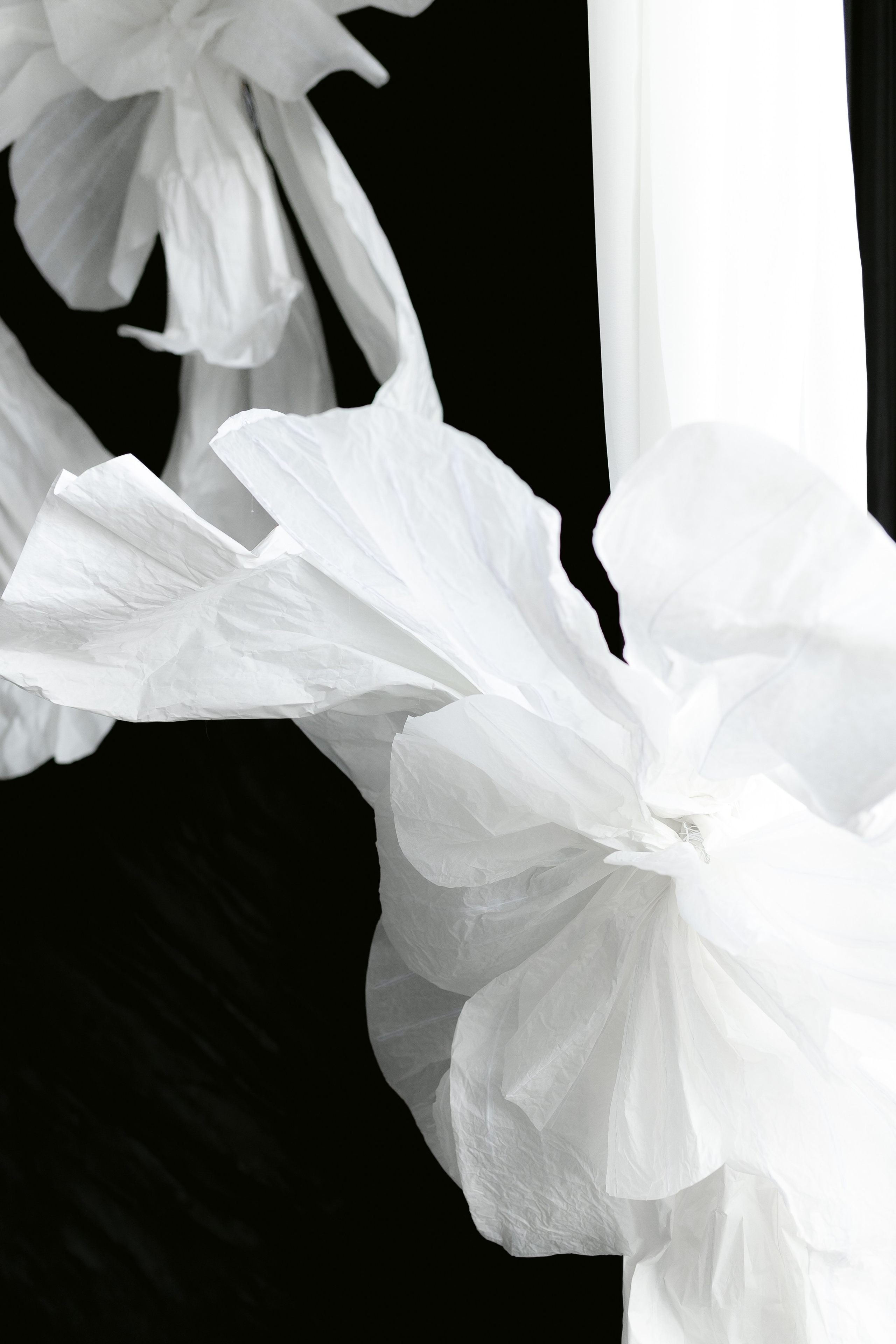 Николай & Алина