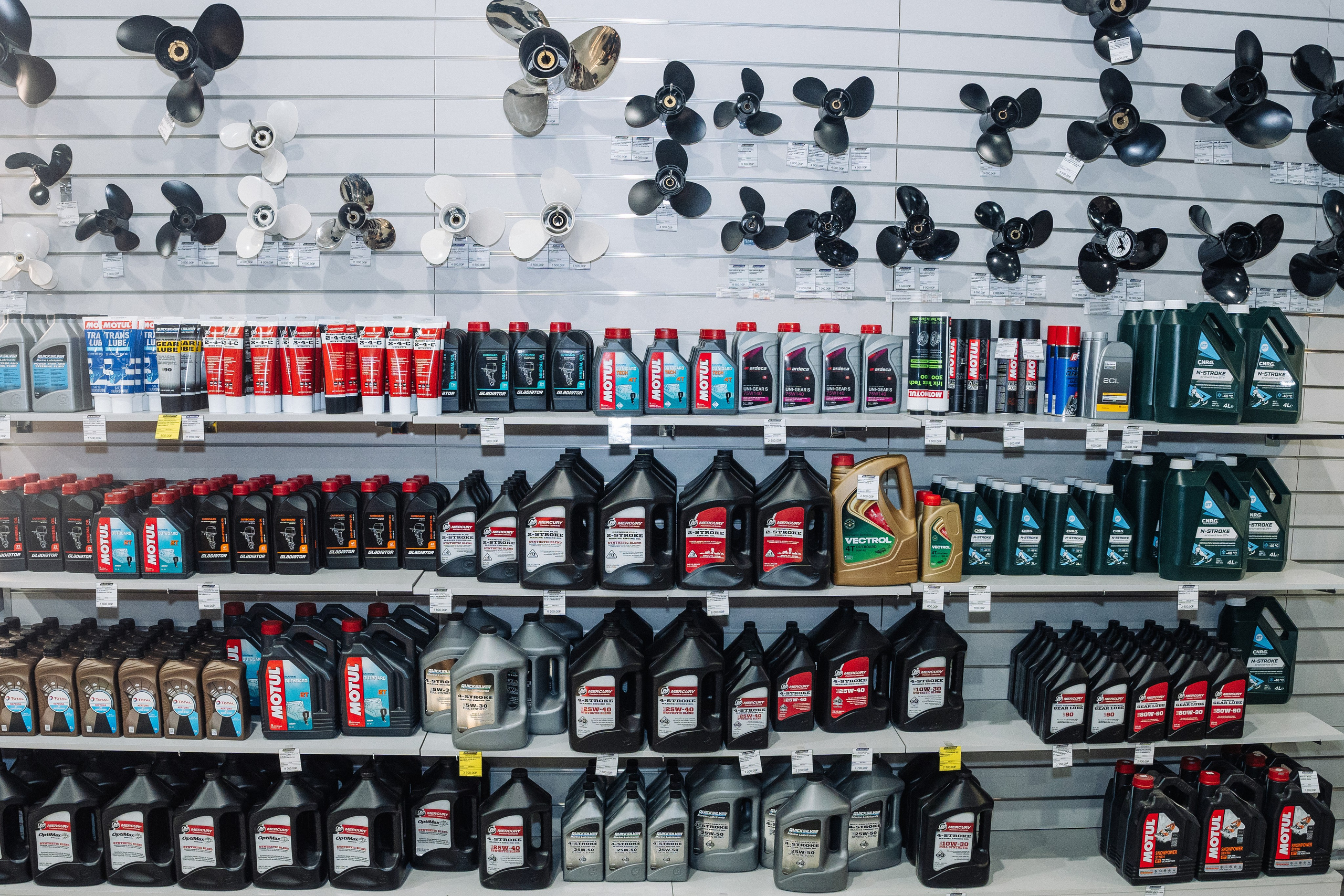 GLADIATOR. Фотограф Хабаровск