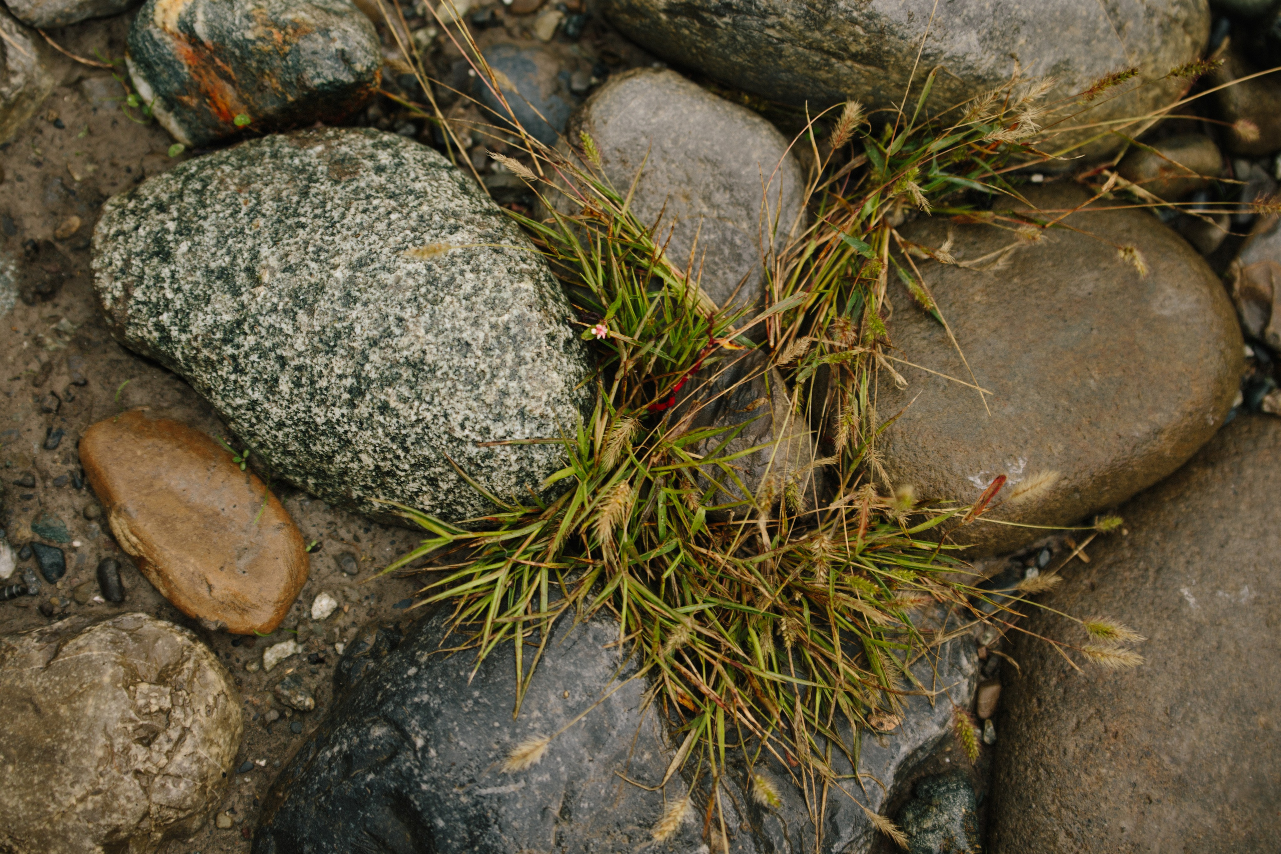 Оштенский Кордон. Семейный фотограф в Белгороде