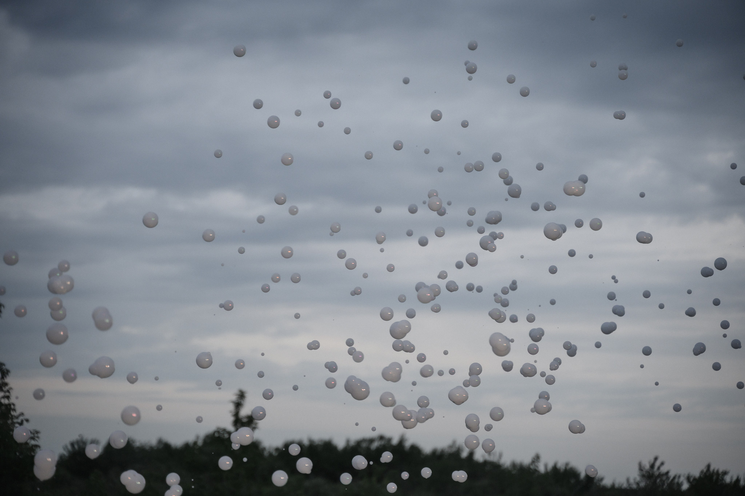 Надя и Саша и их Капустный День. Свадебный фотограф Тюмень Анастасия Битная