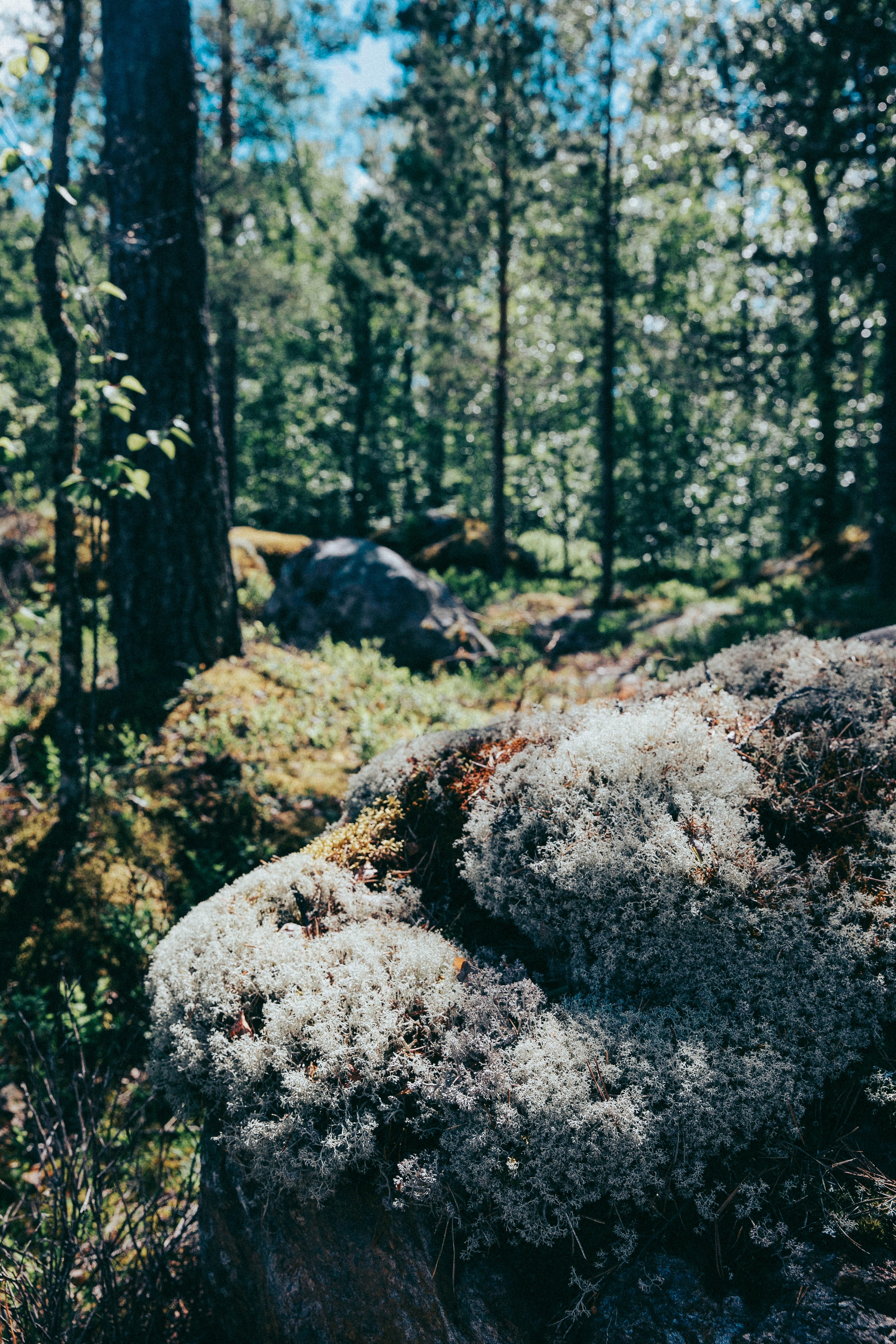 Папа и дочка. Фотограф в Москве Шаганова Нина