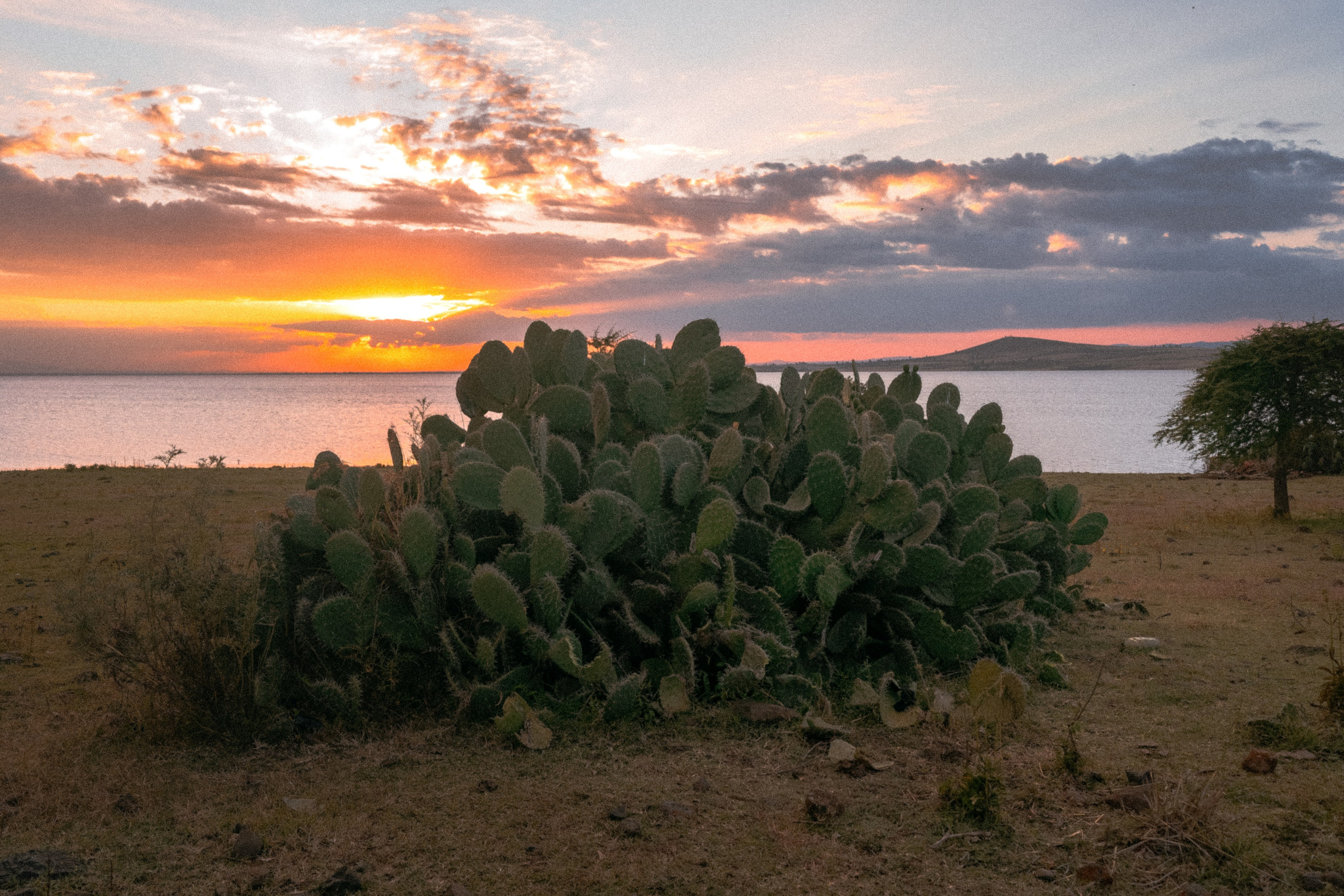 Плато жизни: Эфиопское нагорье. Юля Дэй • Фотограф, Санкт-Петербург