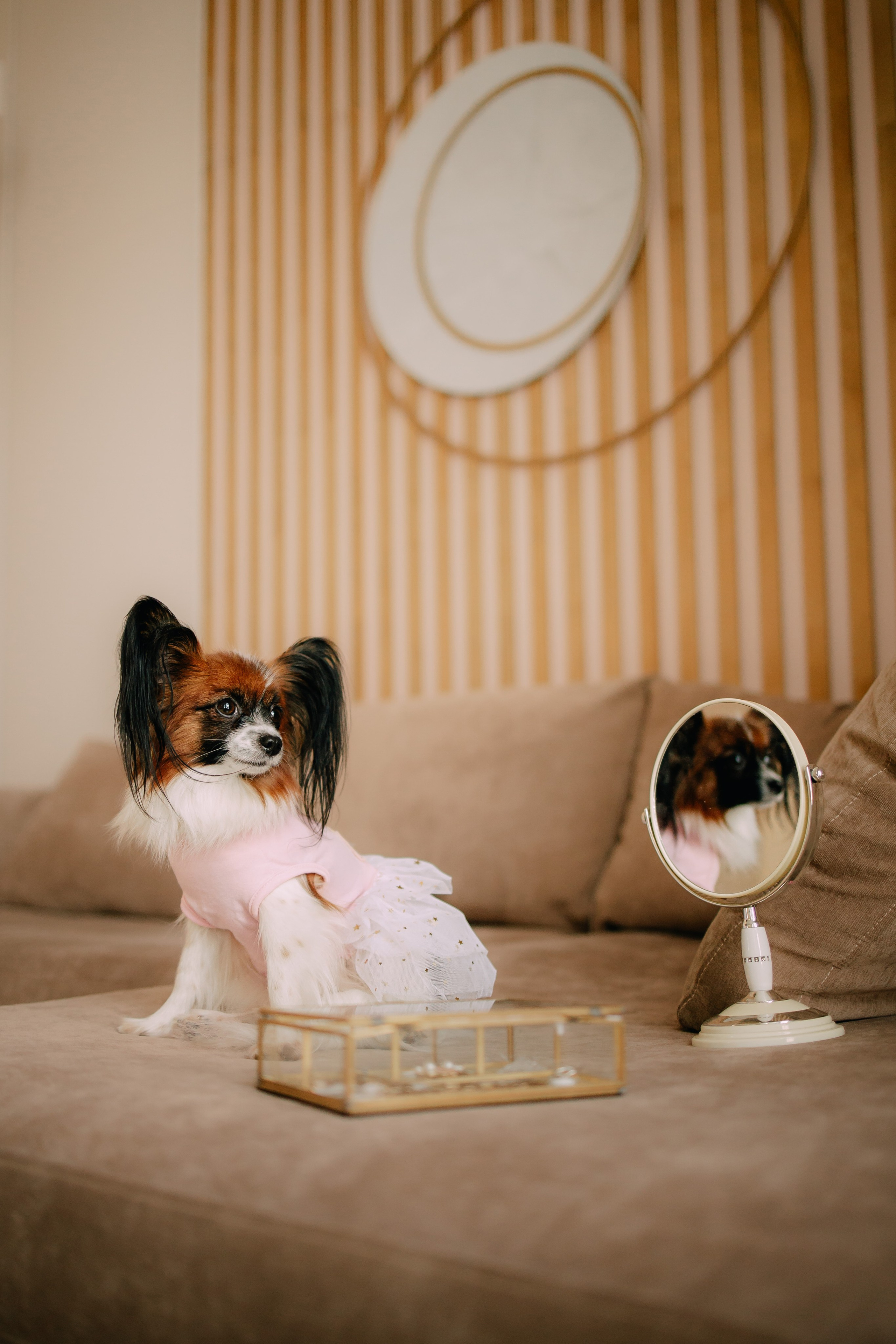 Султан, Мэй Мэй и Шанталь и их семья