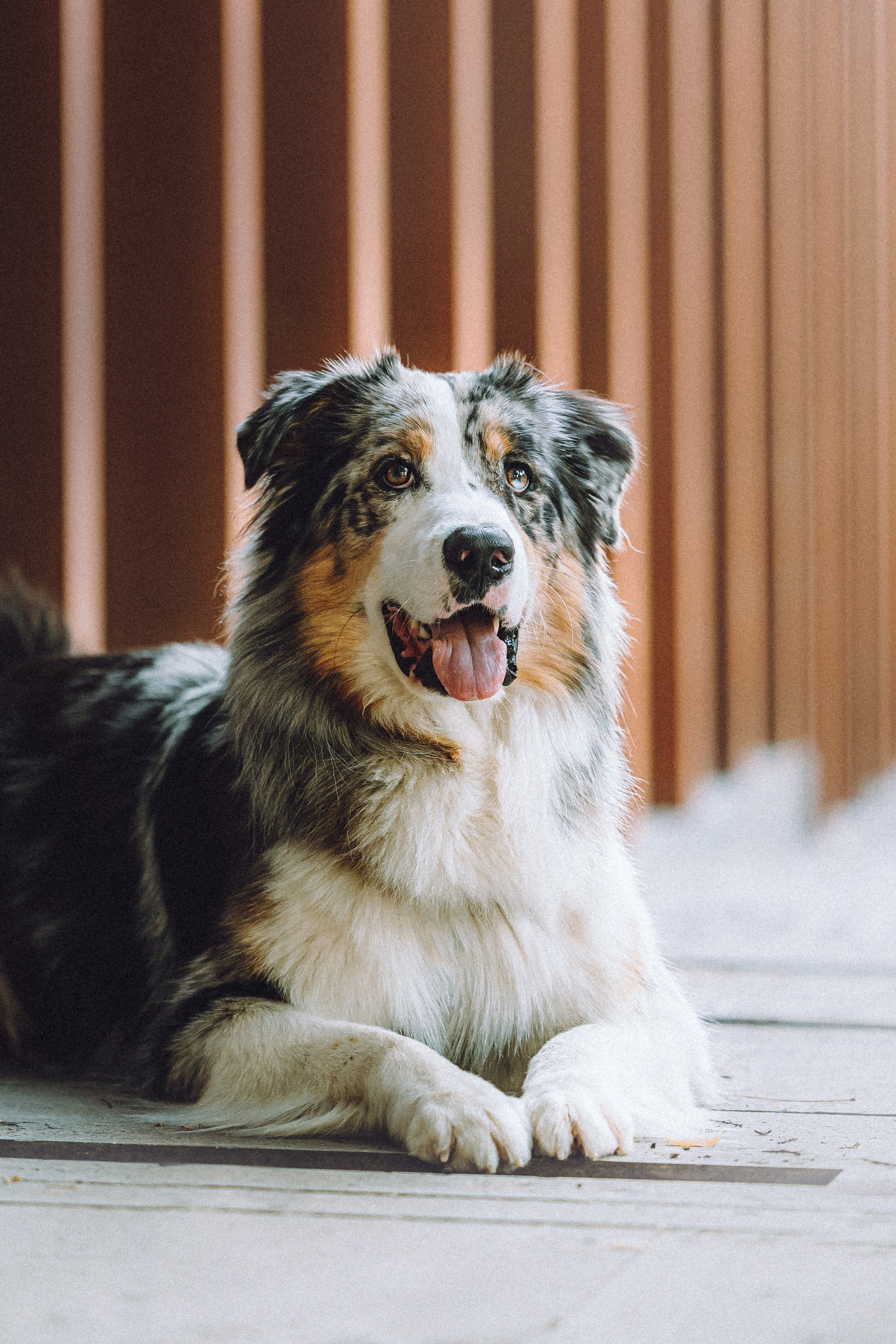 Саша, Рома и Один