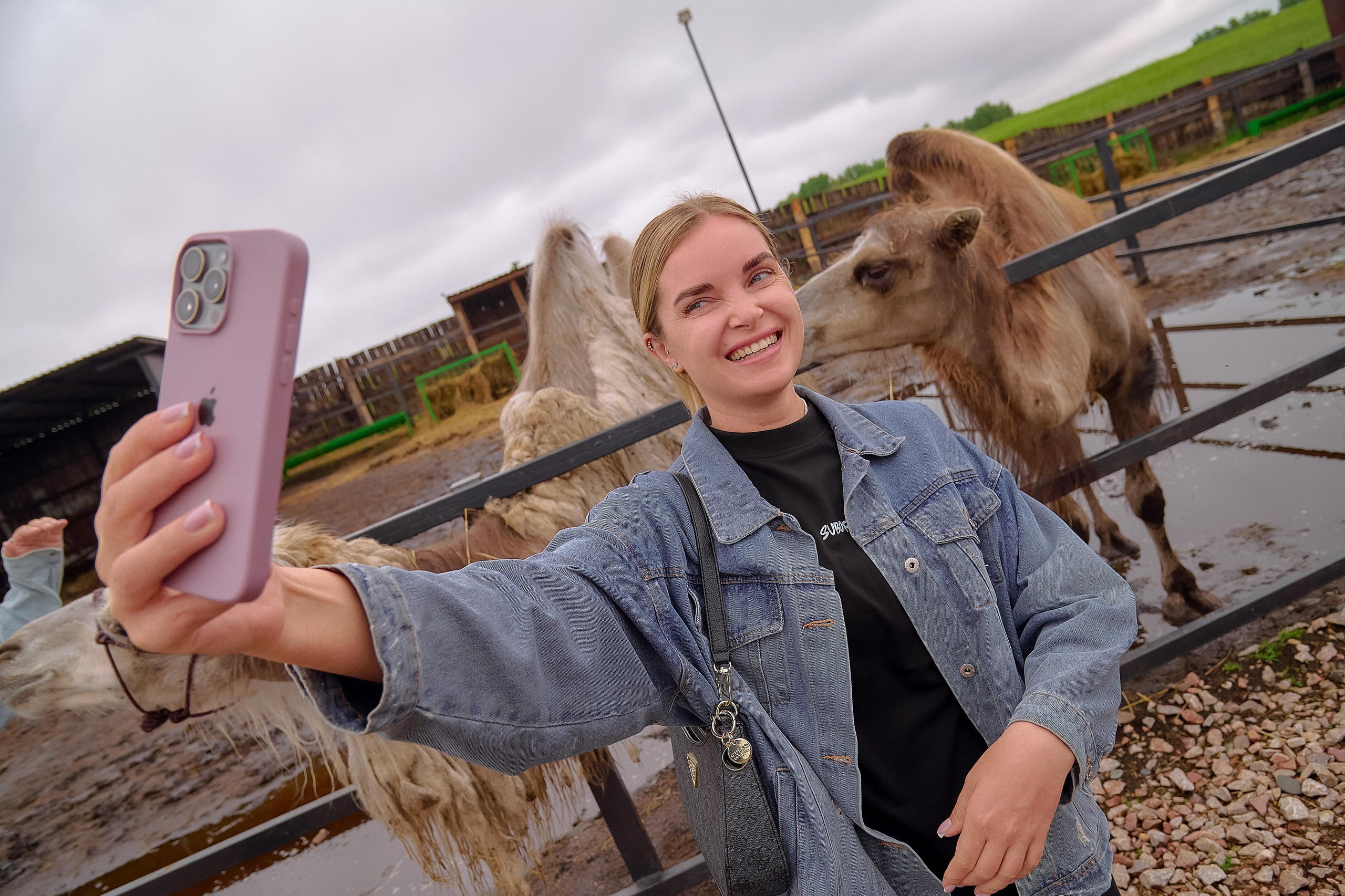 Ранчо «Шарье». Сеть магазинов «Калина-Малина». Фотограф Яковлев Роман — Красноярск
