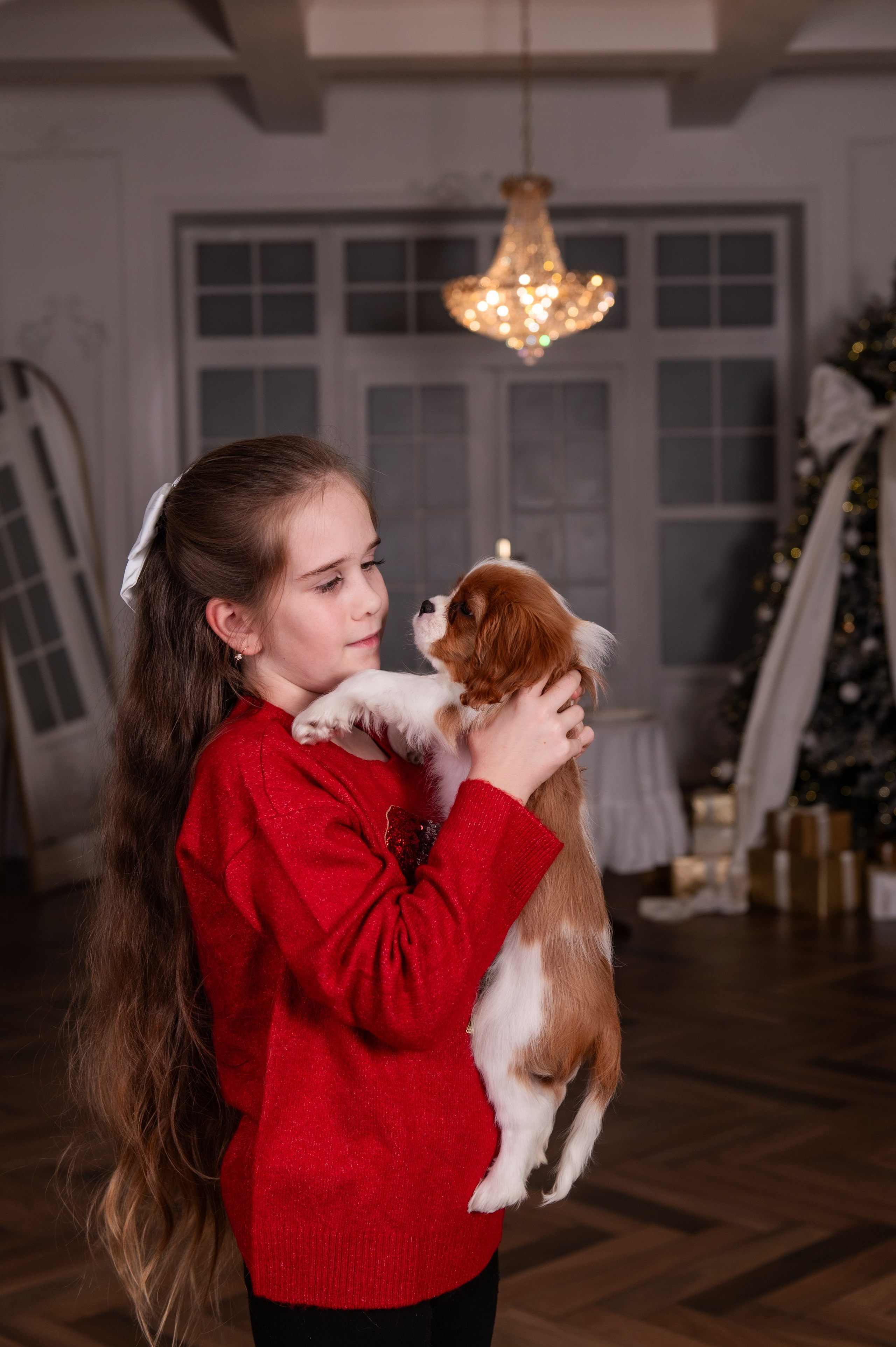 Новогодняя история с любимцем. Свадебный и семейный фотограф в Санкт-Петербурге — Мария Черепанова