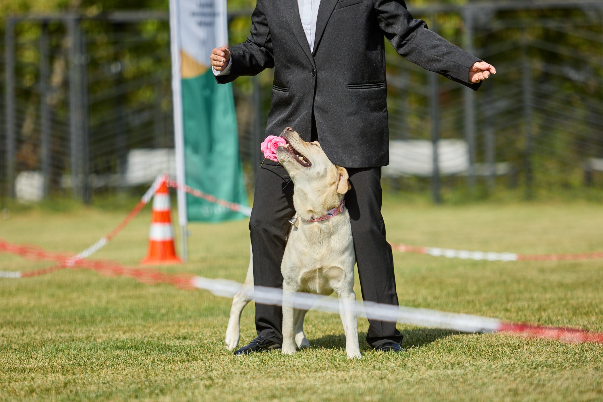 Инклюзивный фестиваль «Три шага к победе». Фотограф Ирина Астор