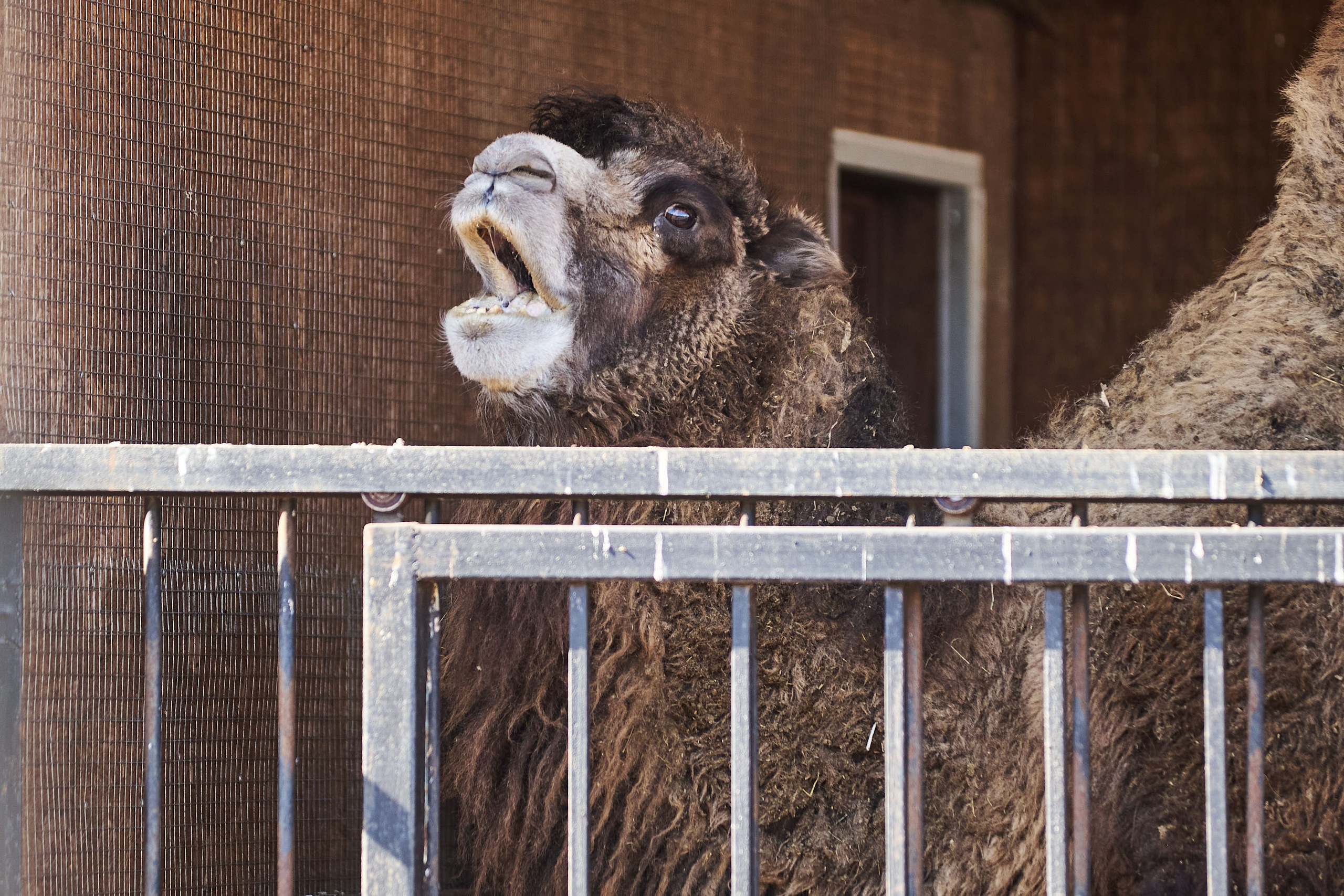 Зоопарк Иваново. Фотограф в Иваново: Каталожная съемка одежды и постельного белья, Wildberries