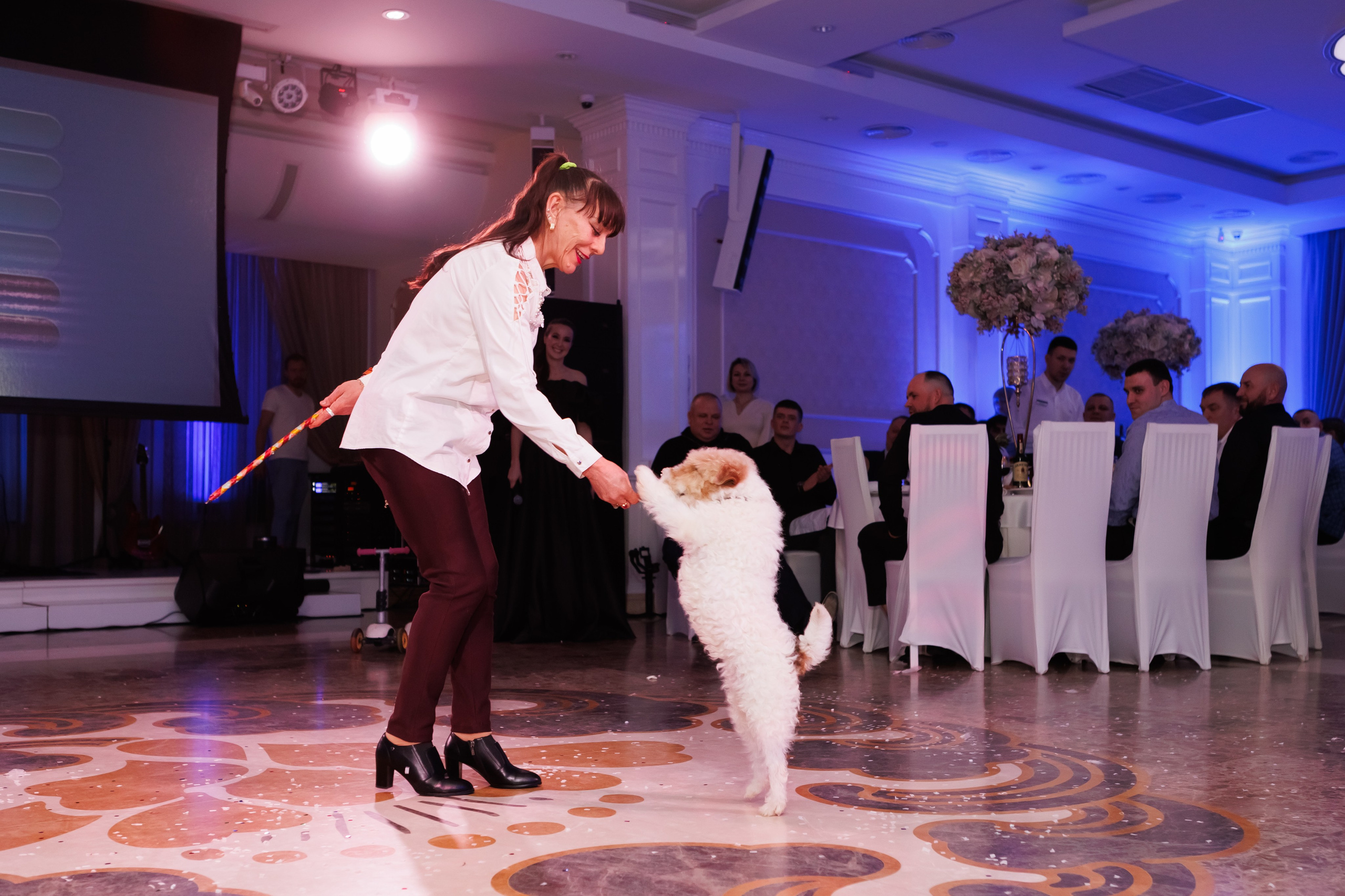 Яблоко — корпоратив. Свадебный фотограф, фотосъемка в Крыму, Севастополе, Симферополе, Ялте